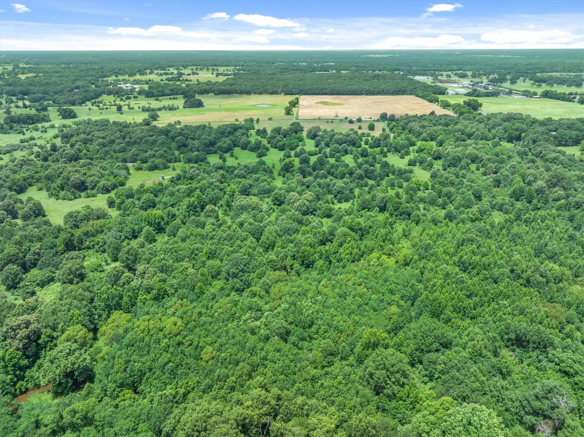 Expansive undeveloped land featuring mature tree canopy, cleared fields, and visible water features within the distant landscape