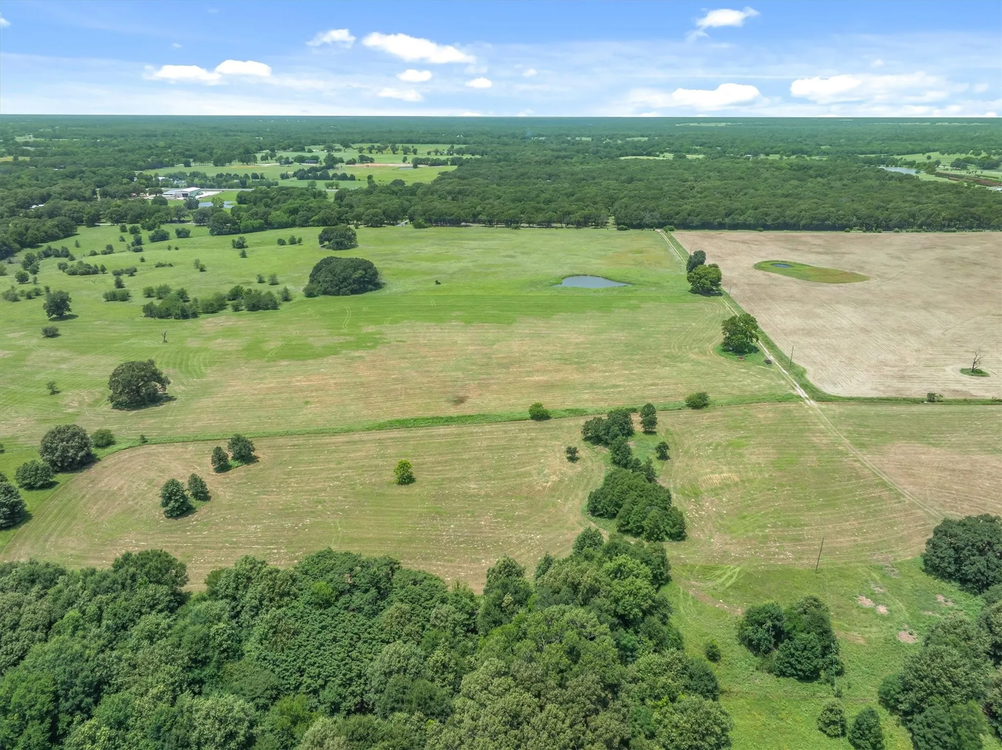 Expansive green acreage featuring a mix of open fields and densely wooded areas