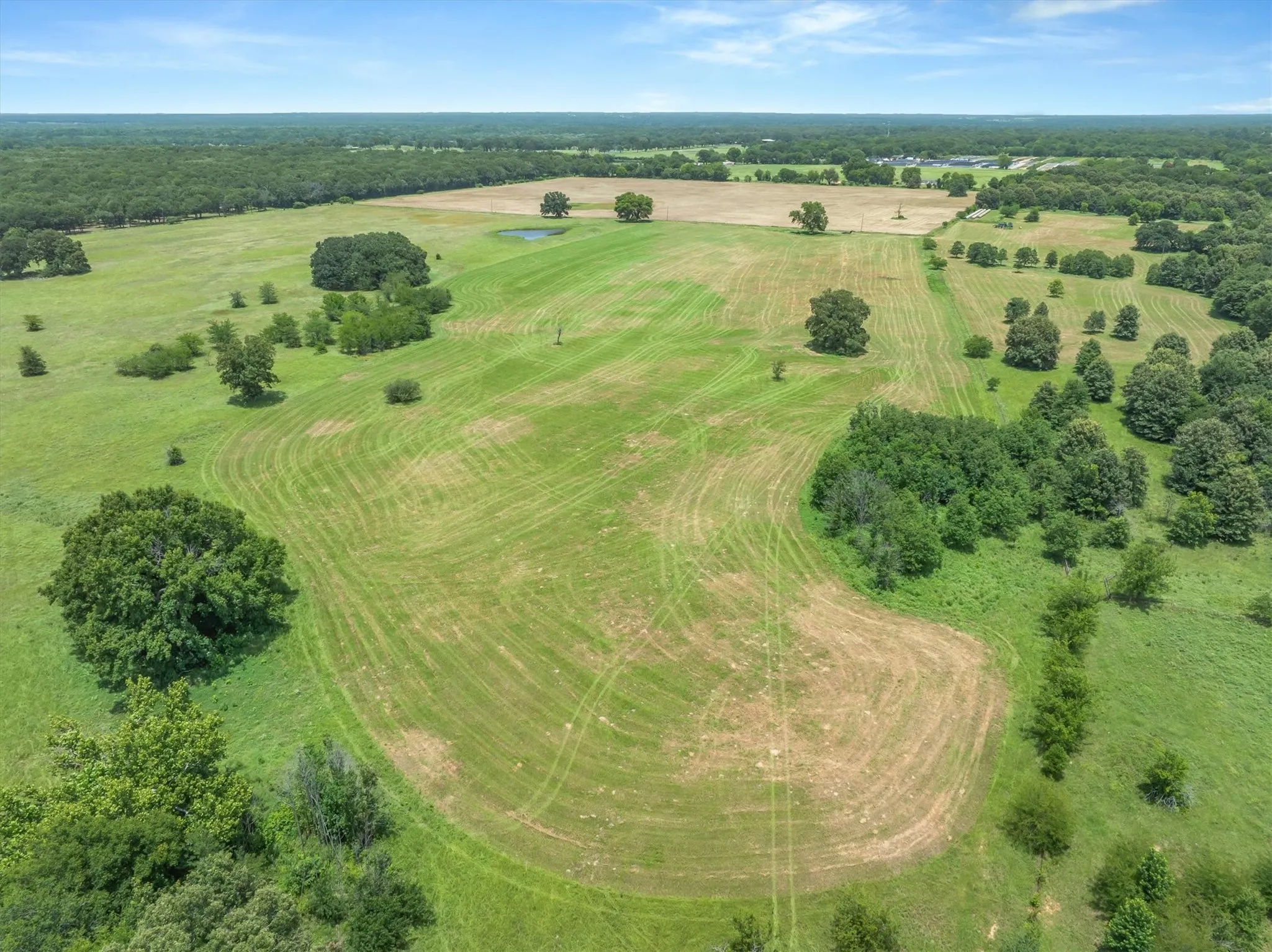 Expansive open land featuring diverse foliage and a clear sky