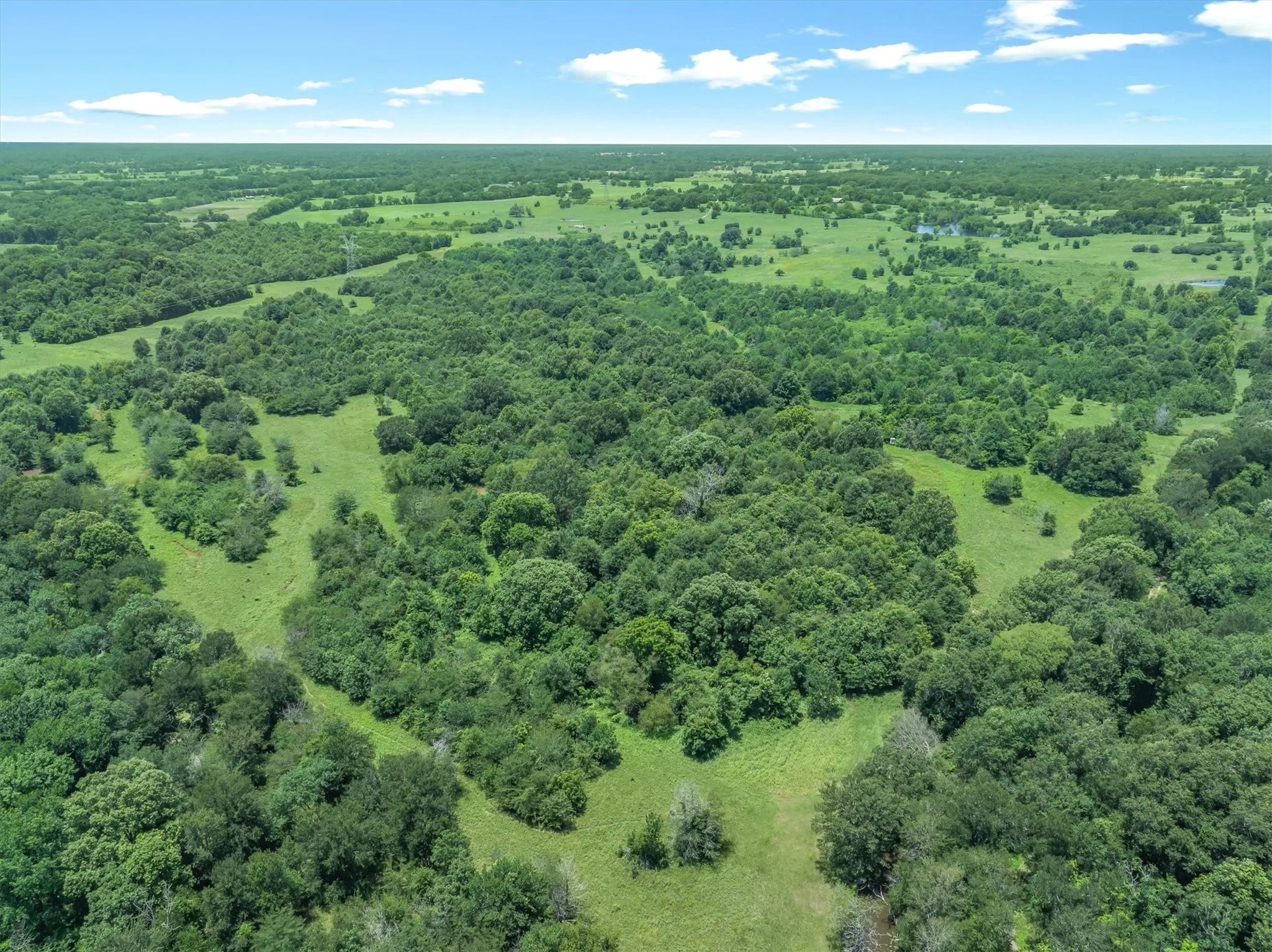 Expansive property featuring varied topography with mature trees and open grassy areas