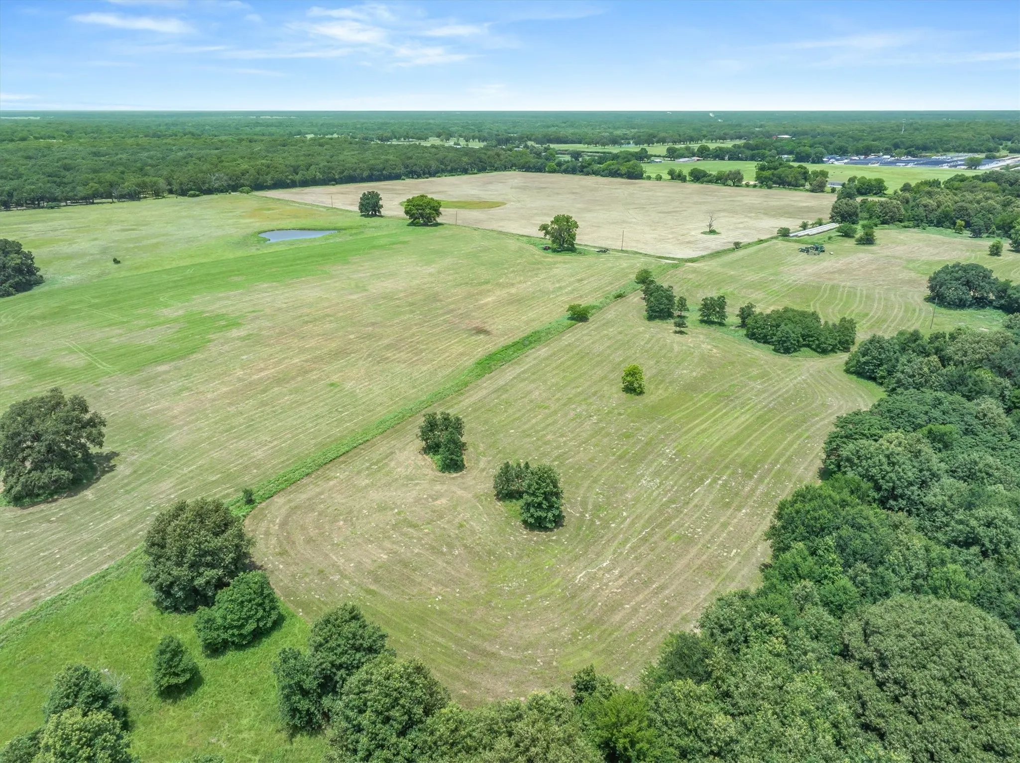 Expansive land parcel featuring open fields, scattered mature trees, and a visible pond