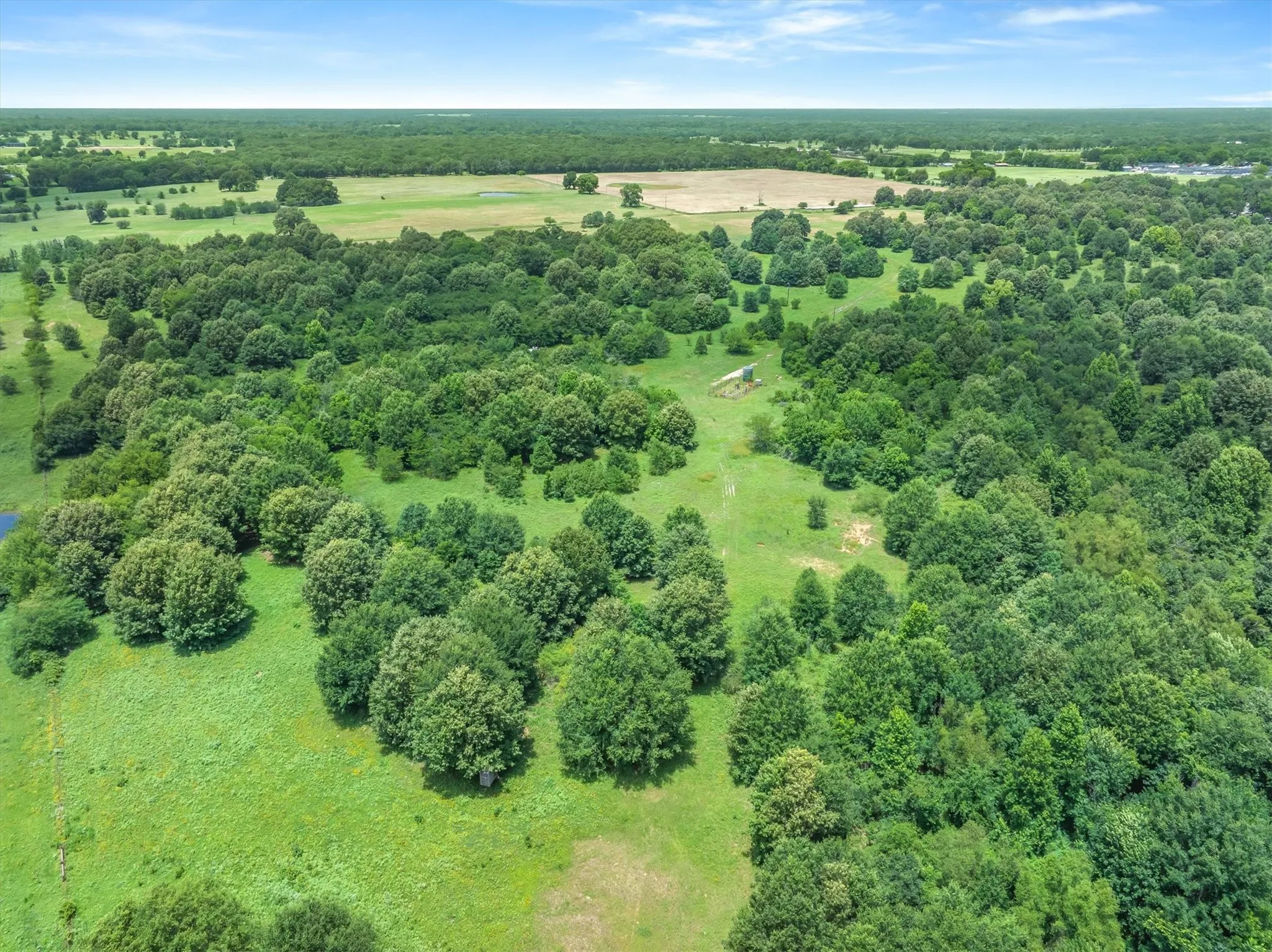 Expansive acreage featuring a mix of mature trees and open grassy areas