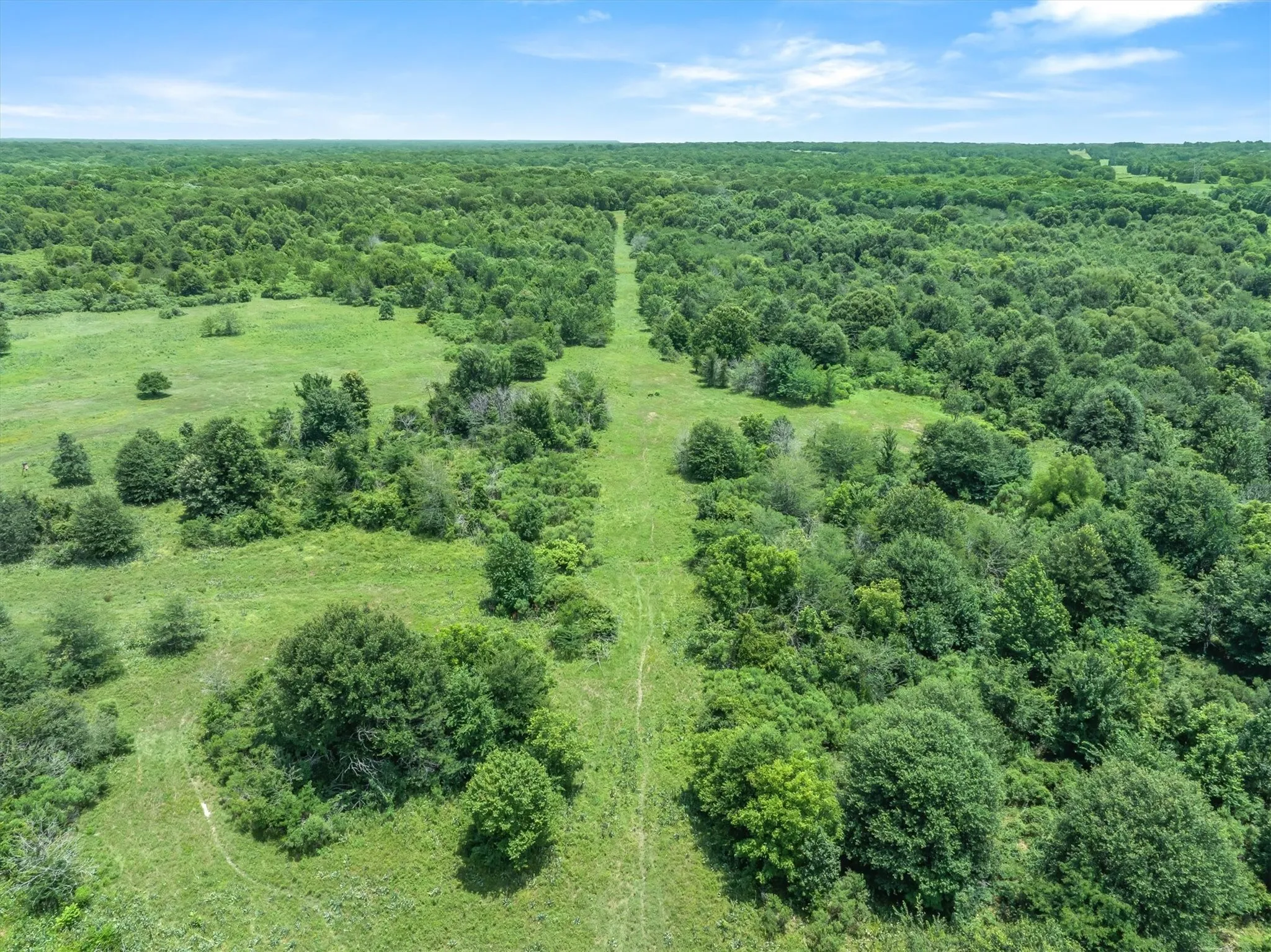 Expansive land parcel featuring a central cleared pathway, surrounded by mature trees and verdant clearings