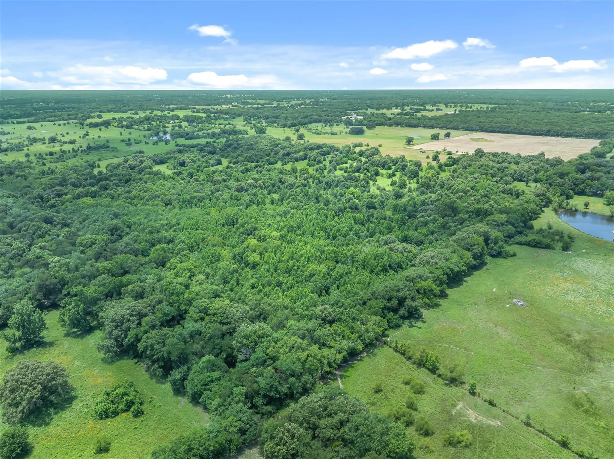 Expansive undeveloped land featuring a mix of dense tree coverage and open grassy areas