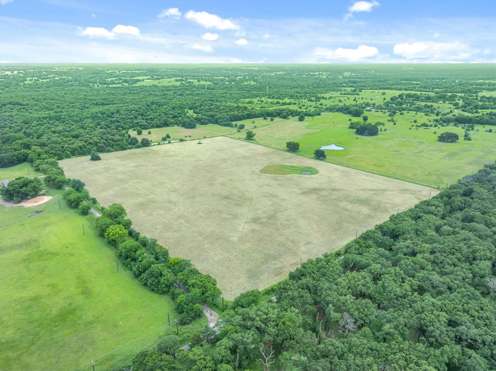 Expansive acreage featuring a large open field, surrounded by extensive mature tree lines