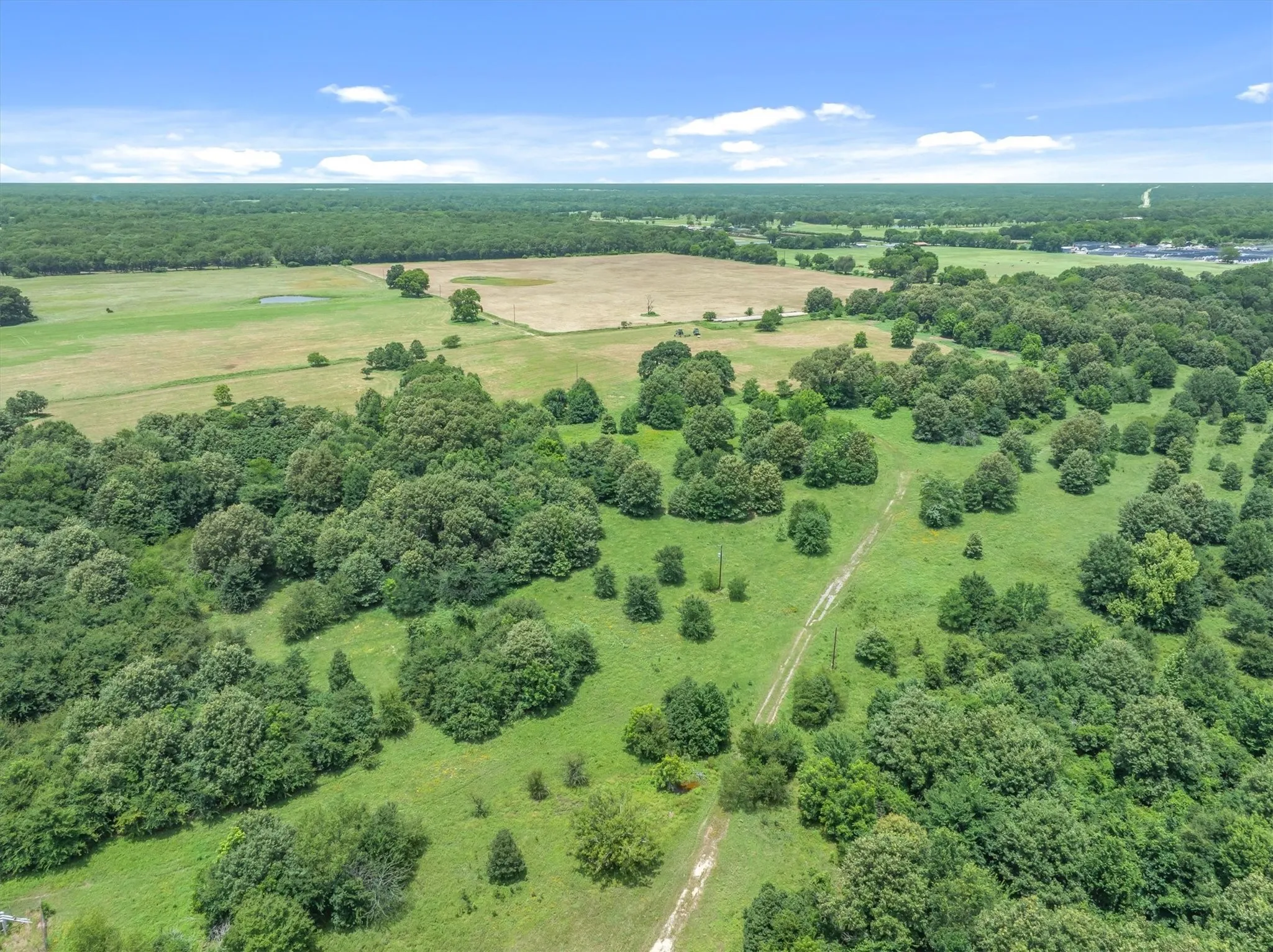 Expansive acreage featuring mature trees and open grassy areas
