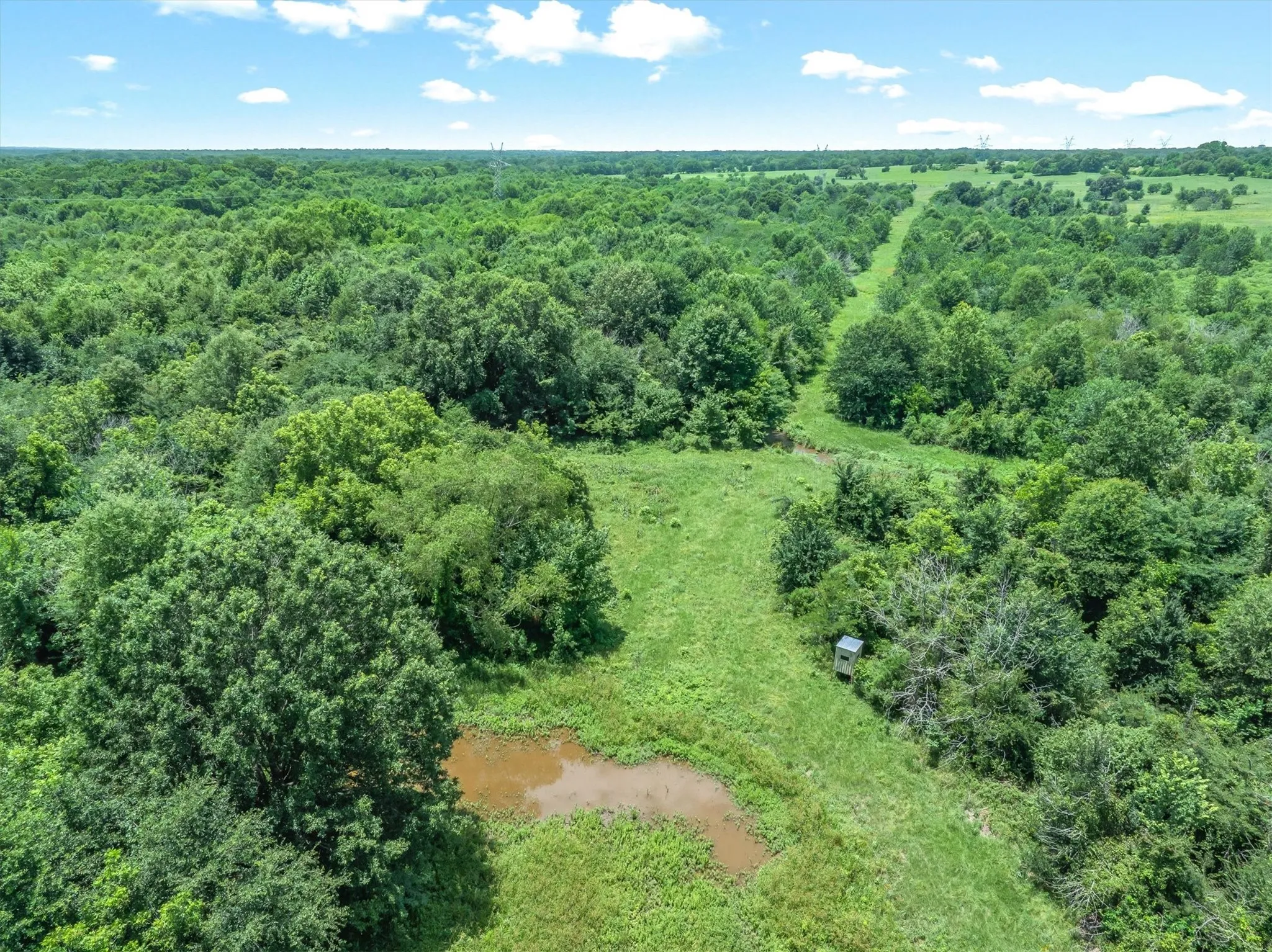 Expansive acreage featuring dense tree cover, open grass sections, and a small pond