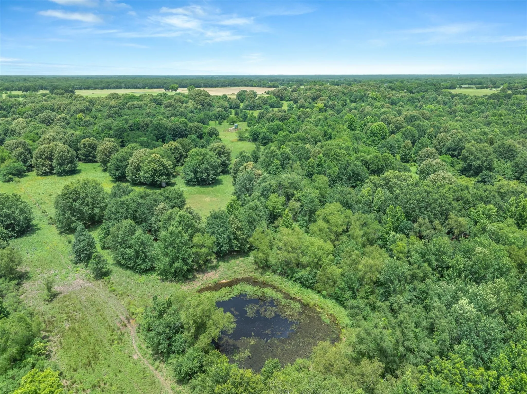 Expansive acreage featuring dense tree coverage, open grassy areas, and a visible pond