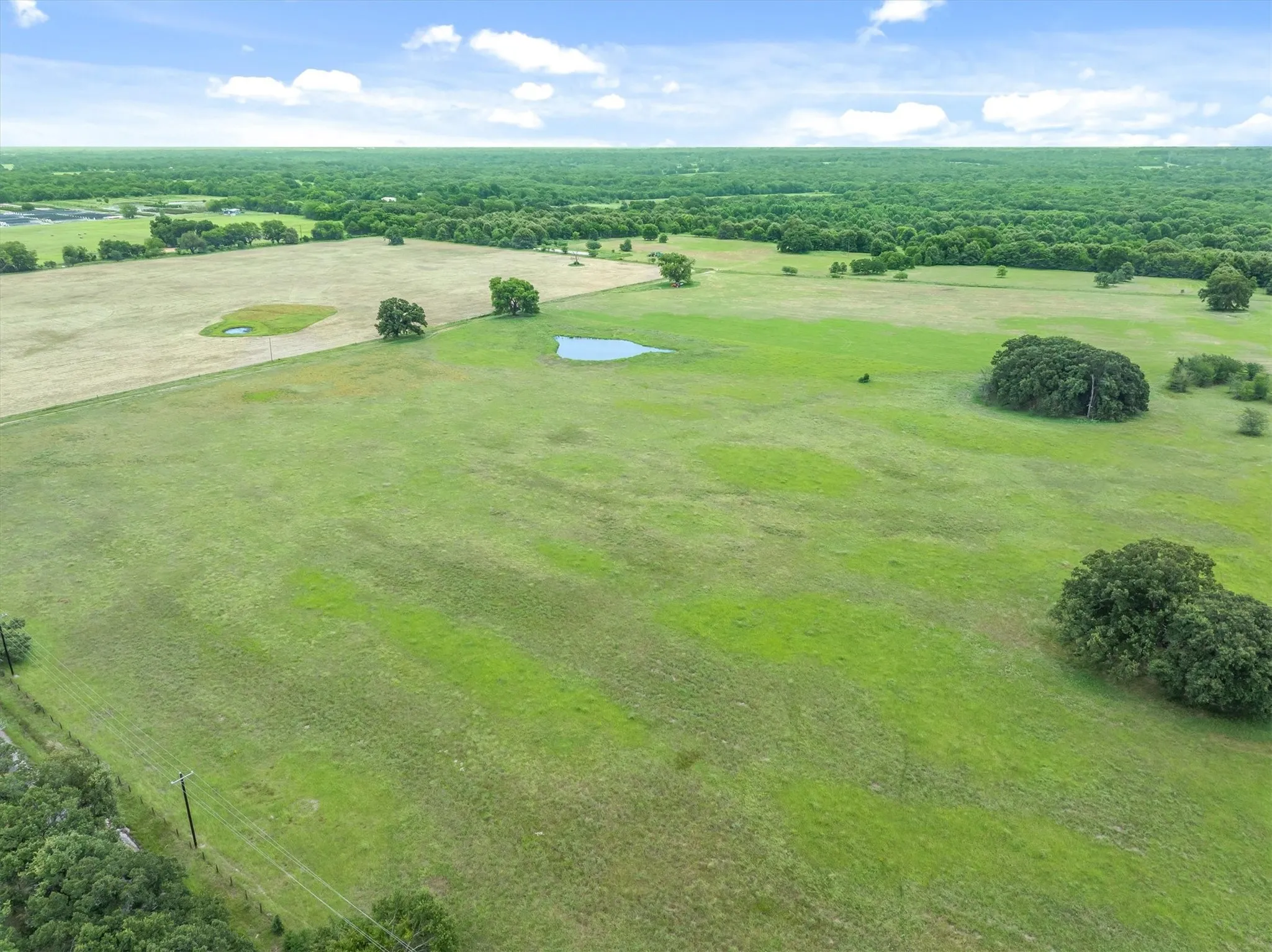 Expansive green landscape featuring varied terrain, scattered mature trees, and two visible water features