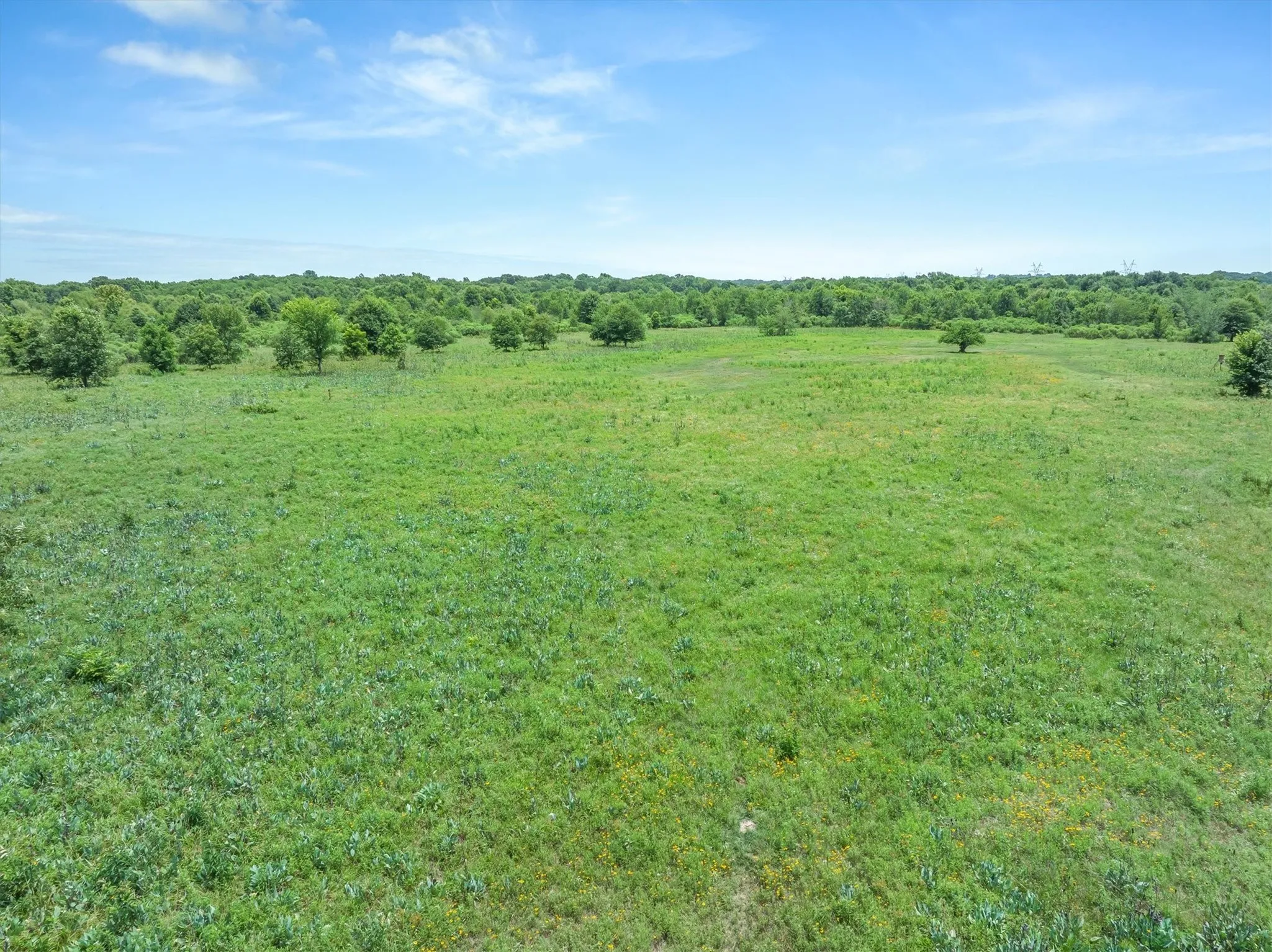 Expansive green acreage featuring scattered mature trees and a distant tree line