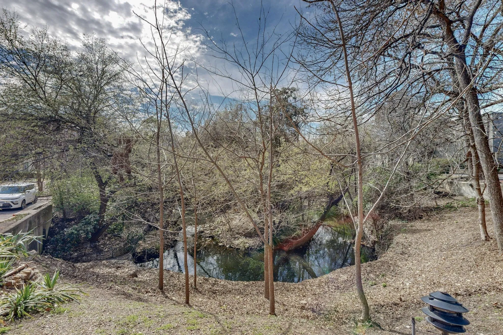 Pond