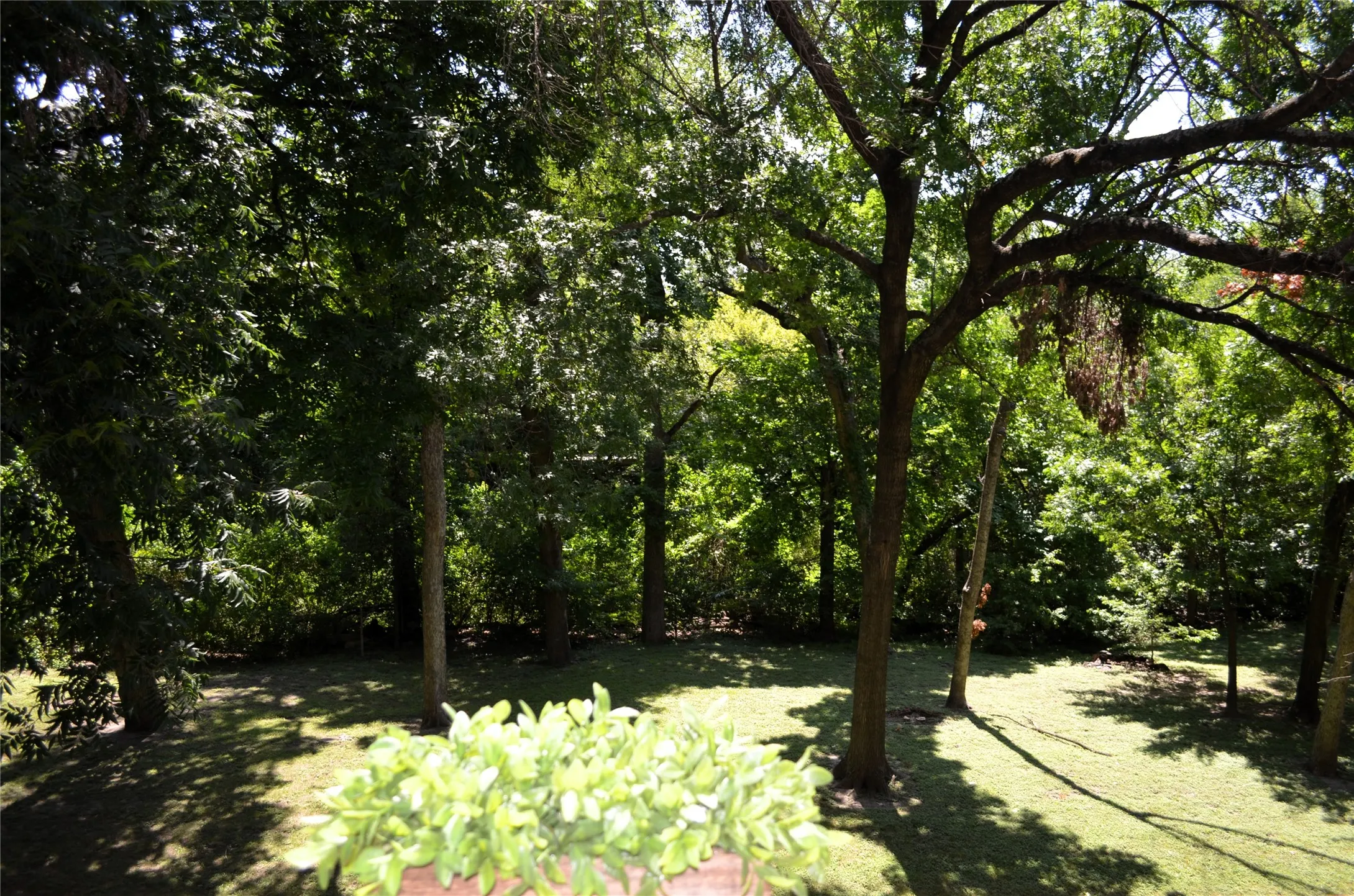 Condominium For Sale in Dallas County , 7660 Skillman Street 401, Dallas, Texas 75231, 1 Bedroom, 2 Bathroom, 1 Garage spaces, 616 Sqft, built in 1983, Price $115,000, mls#21315461, Real Estate Agent in Dallas, Homes For Sale in Dallas county, Homes For Sale in Dallas, Realtor in Dallas Texas, Real Estate Brokerage Independent Realty Texas, Luminita Cordes Realtor