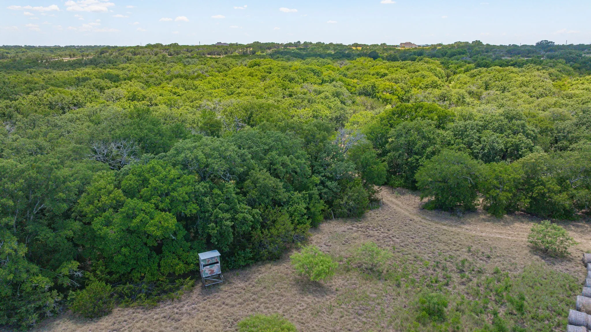 Unimproved Land For Sale in Erath County , 654 Private Road 1129, Stephenville, Texas 76401, 0, 0, Garage spaces, 0 Sqft, built in 0, Price $1,800,000, mls#21325022, Real Estate Agent in Stephenville, Homes For Sale in Erath county, Homes For Sale in Stephenville, Realtor in Stephenville Texas, Real Estate Brokerage Independent Realty Texas, Luminita Cordes Realtor