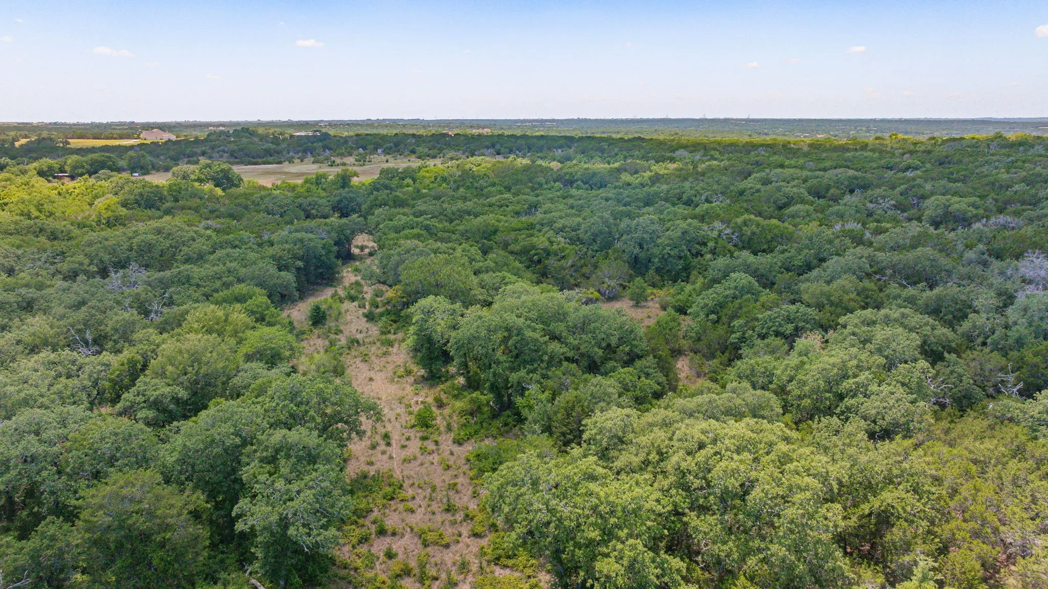 Unimproved Land For Sale in Erath County , 654 Private Road 1129, Stephenville, Texas 76401, 0, 0, Garage spaces, 0 Sqft, built in 0, Price $1,800,000, mls#21325022, Real Estate Agent in Stephenville, Homes For Sale in Erath county, Homes For Sale in Stephenville, Realtor in Stephenville Texas, Real Estate Brokerage Independent Realty Texas, Luminita Cordes Realtor
