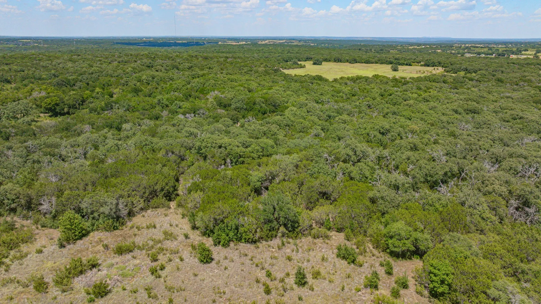 Unimproved Land For Sale in Erath County , 654 Private Road 1129, Stephenville, Texas 76401, 0, 0, Garage spaces, 0 Sqft, built in 0, Price $1,800,000, mls#21325022, Real Estate Agent in Stephenville, Homes For Sale in Erath county, Homes For Sale in Stephenville, Realtor in Stephenville Texas, Real Estate Brokerage Independent Realty Texas, Luminita Cordes Realtor