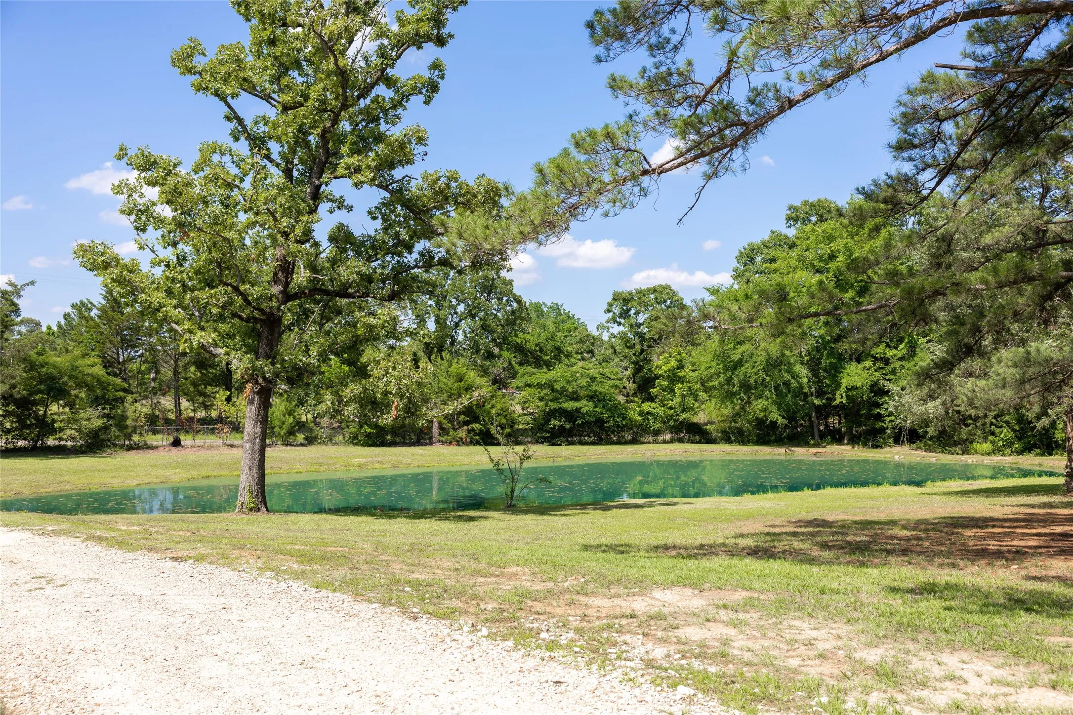 Single Family Residence For Sale in Lamar County , 1756 County Road 45080 Road, Powderly, Texas 75473, 3 Bedrooms, 3 Bathrooms, Garage spaces, 2,031 Sqft, built in 2024, Price $555,555, mls#21326873, Real Estate Agent in Powderly, Homes For Sale in Lamar county, Homes For Sale in Powderly, Realtor in Powderly Texas, Real Estate Brokerage Independent Realty Texas, Luminita Cordes Realtor