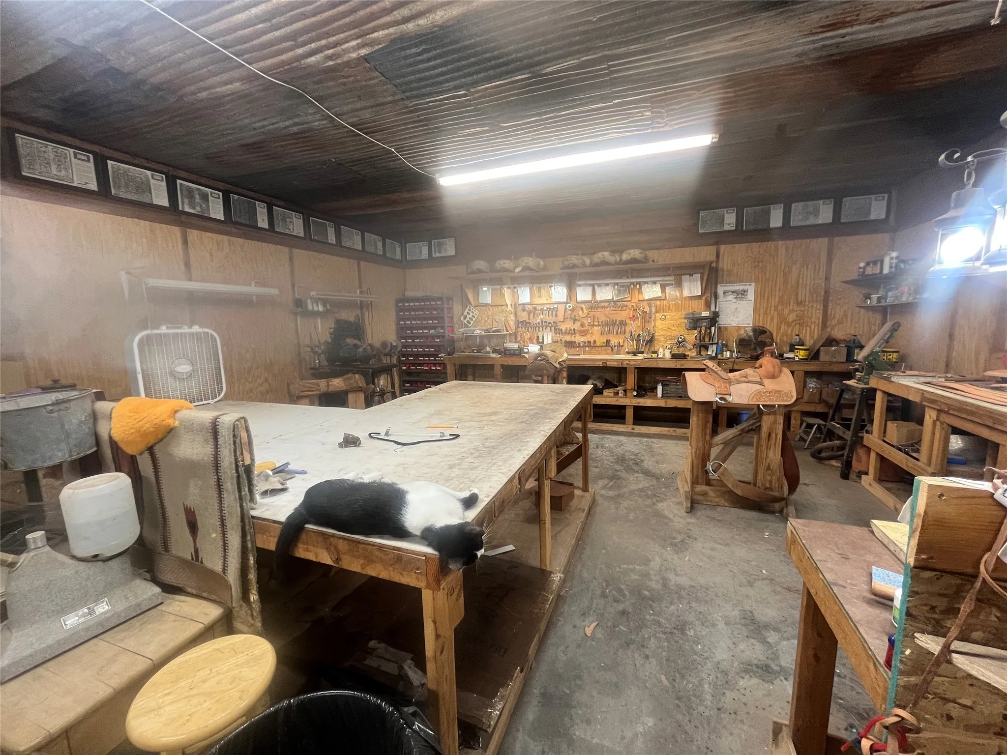 Retail For Sale in Hamilton County , 406 N Second Street, Hico, Texas 76457, 0, 0, Garage spaces, 0 Sqft, built in 1983, mls#21326917, Real Estate Agent in Hico, Homes For Sale in Hamilton county, Homes For Sale in Hico, Realtor in Hico Texas, Real Estate Brokerage Independent Realty Texas, Luminita Cordes Realtor
