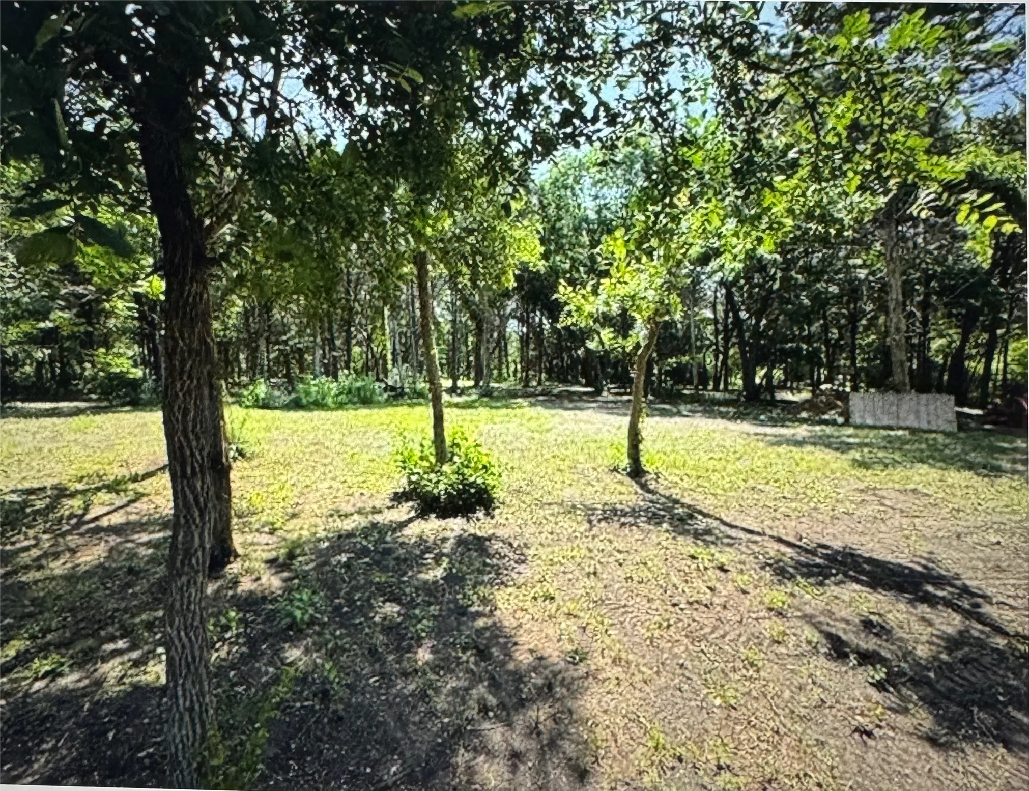 Unimproved Land For Sale in Dallas County , 3 Robin, Cedar Hill, Texas 75104, 0, 0, Garage spaces, 0 Sqft, built in 0, mls#21326984, Real Estate Agent in Cedar Hill, Homes For Sale in Dallas county, Homes For Sale in Cedar Hill, Realtor in Cedar Hill Texas, Real Estate Brokerage Independent Realty Texas, Luminita Cordes Realtor