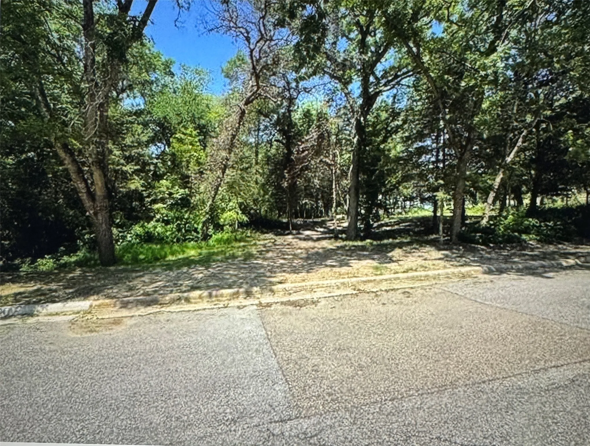 Unimproved Land For Sale in Dallas County , 3 Robin, Cedar Hill, Texas 75104, 0, 0, Garage spaces, 0 Sqft, built in 0, mls#21326984, Real Estate Agent in Cedar Hill, Homes For Sale in Dallas county, Homes For Sale in Cedar Hill, Realtor in Cedar Hill Texas, Real Estate Brokerage Independent Realty Texas, Luminita Cordes Realtor