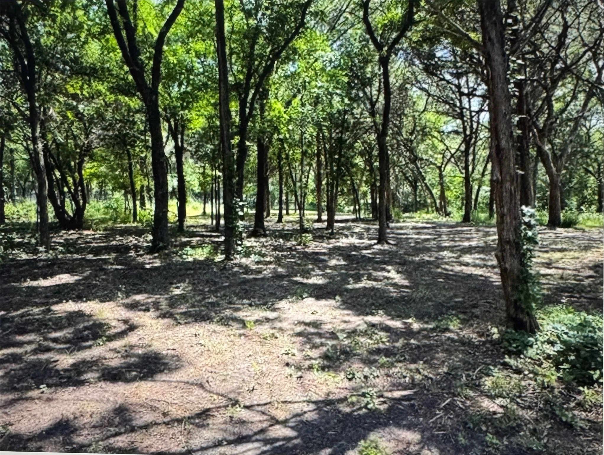 Unimproved Land For Sale in Dallas County , 3 Robin, Cedar Hill, Texas 75104, 0, 0, Garage spaces, 0 Sqft, built in 0, mls#21326984, Real Estate Agent in Cedar Hill, Homes For Sale in Dallas county, Homes For Sale in Cedar Hill, Realtor in Cedar Hill Texas, Real Estate Brokerage Independent Realty Texas, Luminita Cordes Realtor