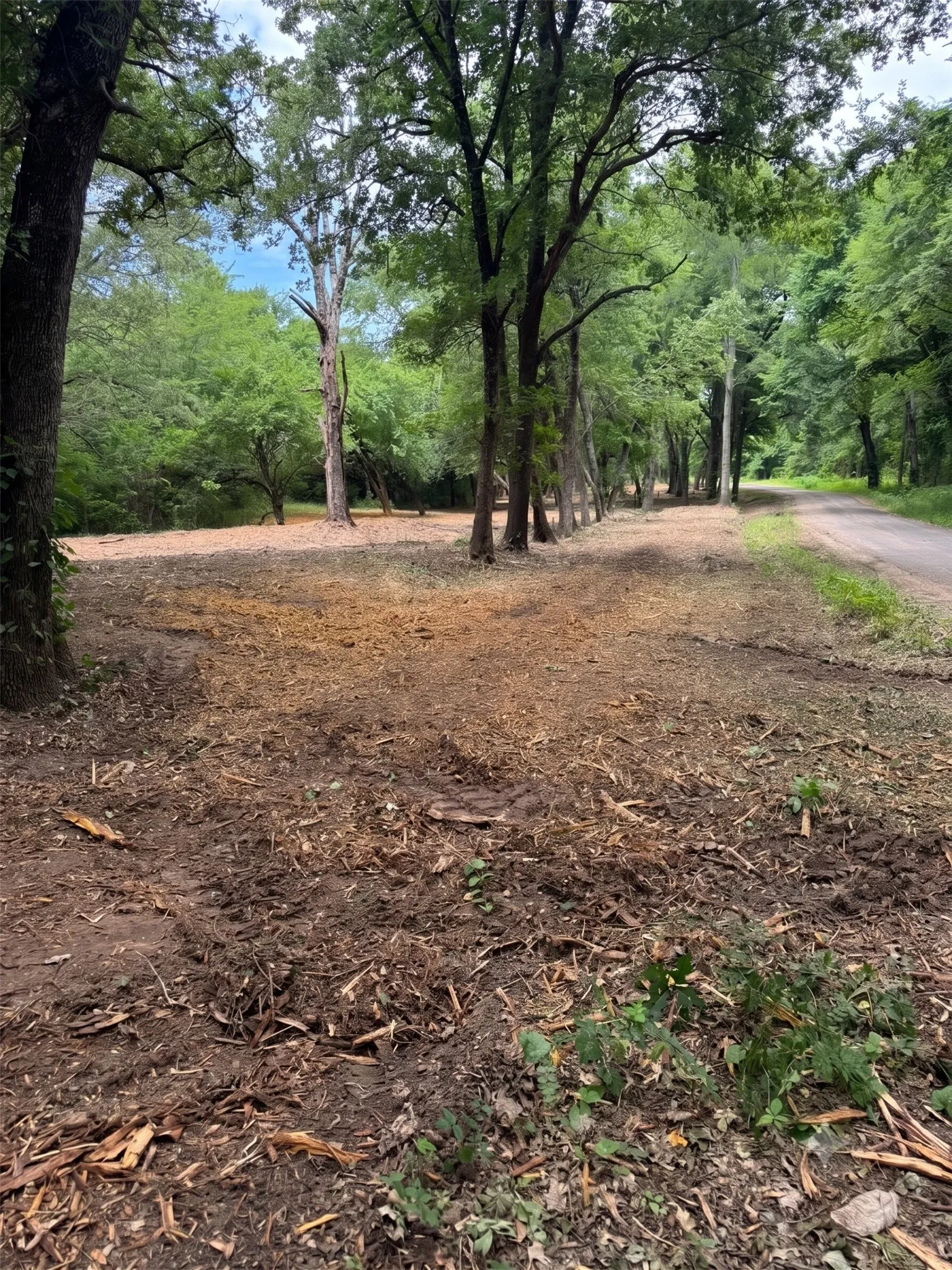 Unimproved Land For Sale in Hopkins County , Lot 4 County Road 3562, Dike, Texas 75437, 0, 0, Garage spaces, 0 Sqft, built in 0, Price $150,000, mls#21326632, Real Estate Agent in Dike, Homes For Sale in Hopkins county, Homes For Sale in Dike, Realtor in Dike Texas, Real Estate Brokerage Independent Realty Texas, Luminita Cordes Realtor