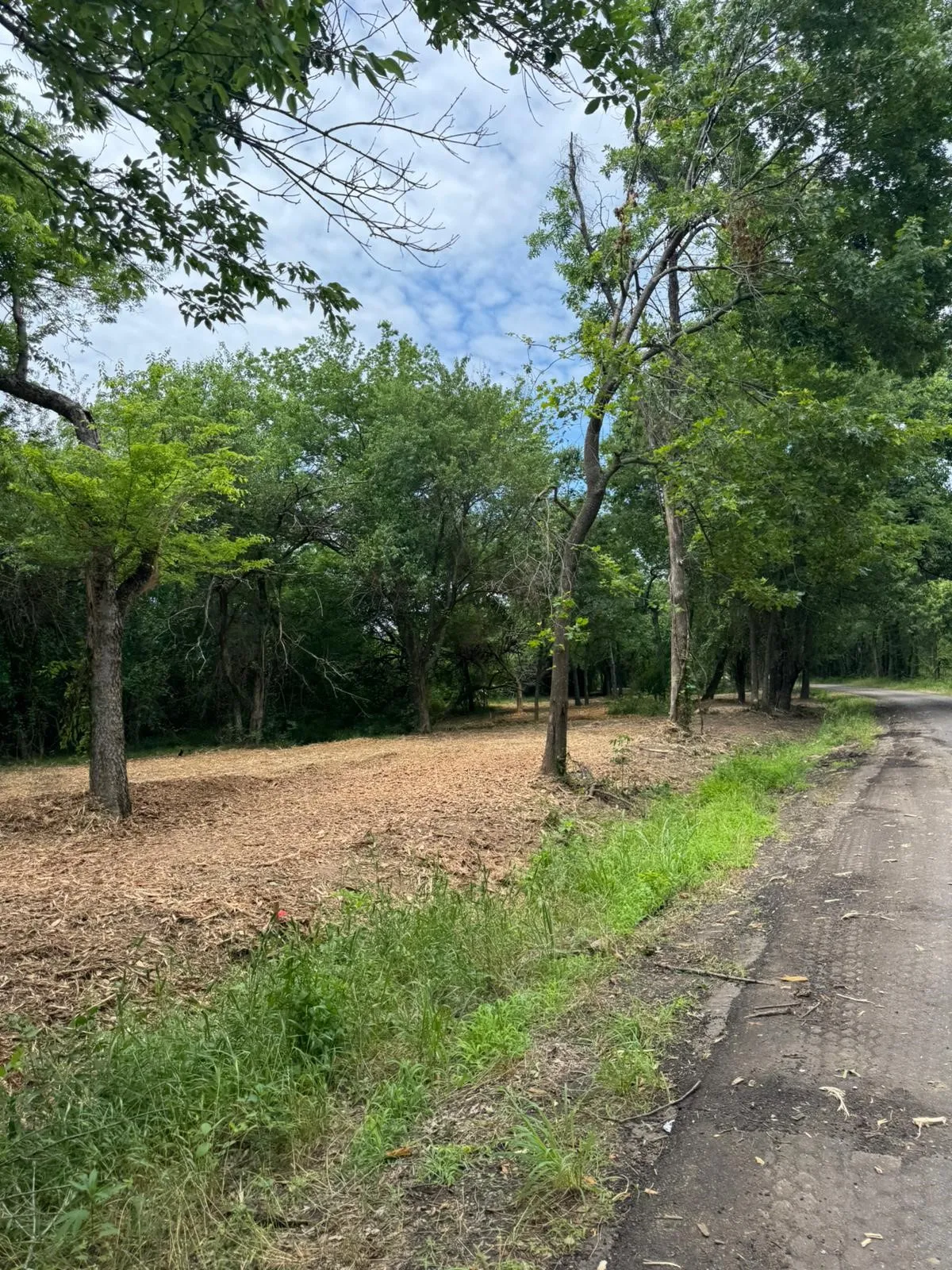 Unimproved Land For Sale in Hopkins County , Lot 4 County Road 3562, Dike, Texas 75437, 0, 0, Garage spaces, 0 Sqft, built in 0, Price $150,000, mls#21326632, Real Estate Agent in Dike, Homes For Sale in Hopkins county, Homes For Sale in Dike, Realtor in Dike Texas, Real Estate Brokerage Independent Realty Texas, Luminita Cordes Realtor