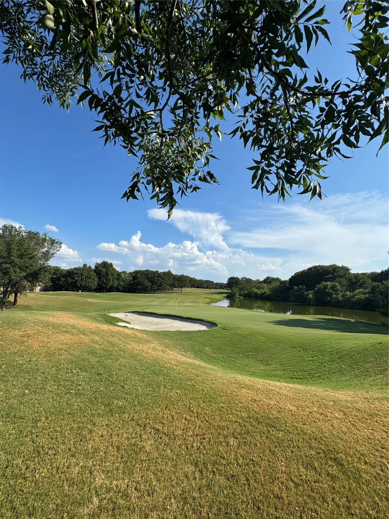 Expansive green golf course with a sand trap, water feature, and mature trees