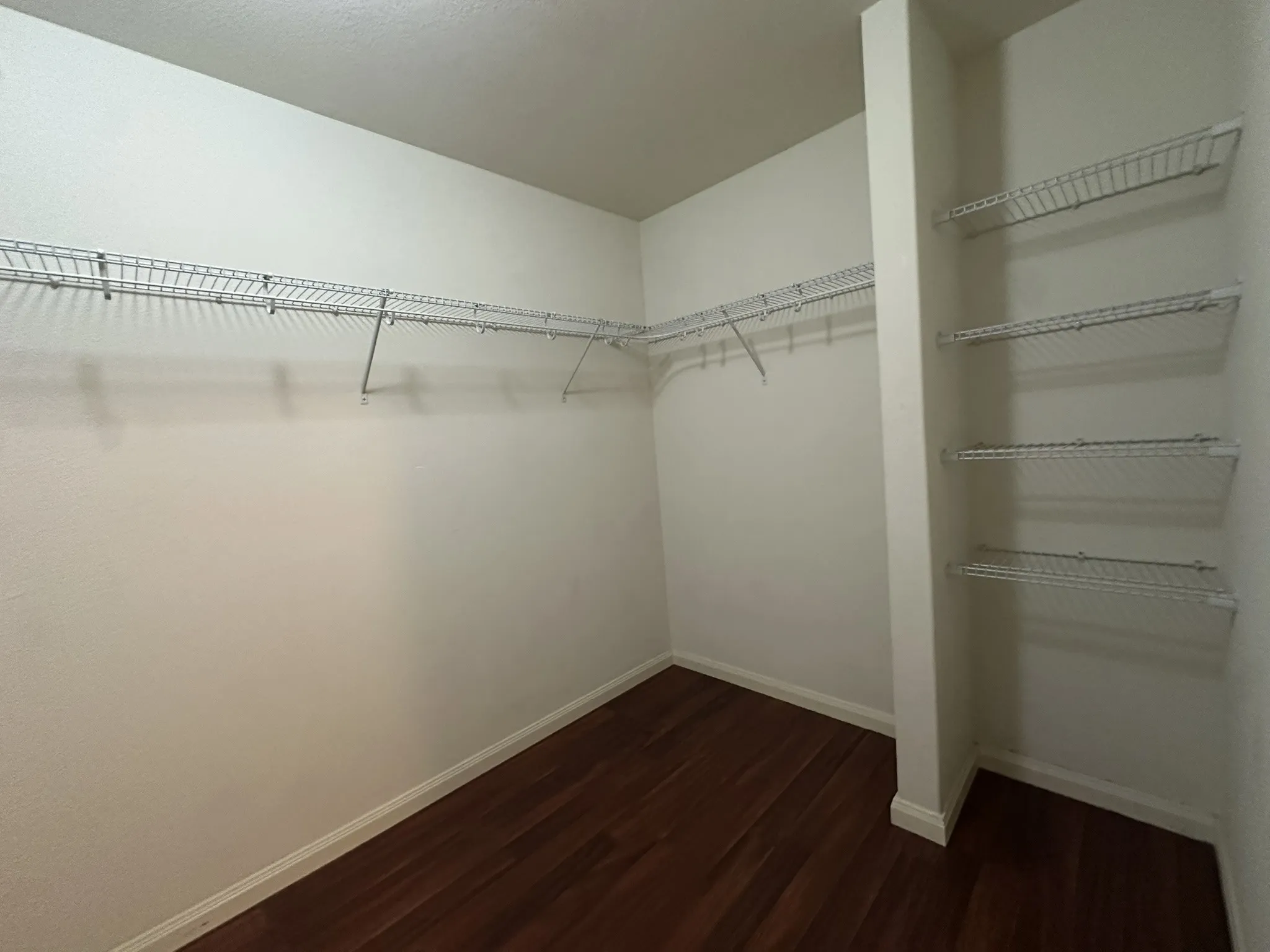 Walk-in closet featuring wood-finish flooring, white walls, and built-in wire shelving