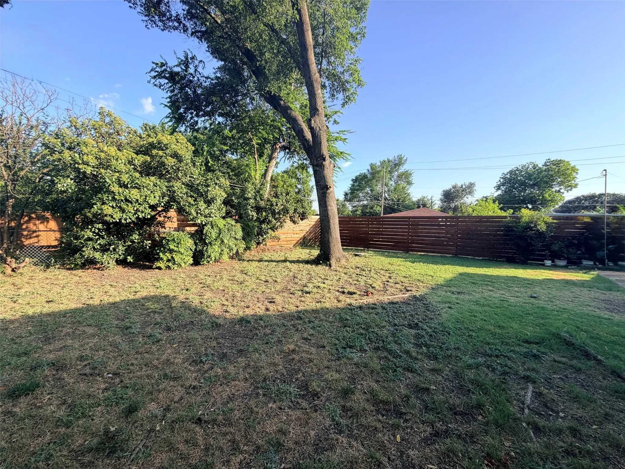 Expansive backyard area featuring a mature tree, established shrubbery, and a horizontal slat privacy fence