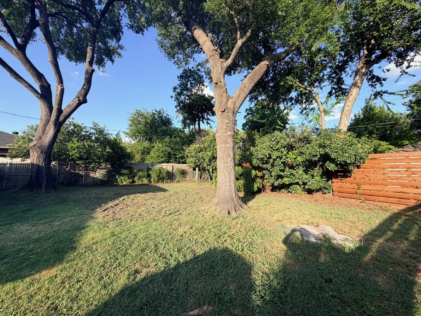 Expansive backyard featuring mature trees, a wooden privacy fence, and natural landscaping