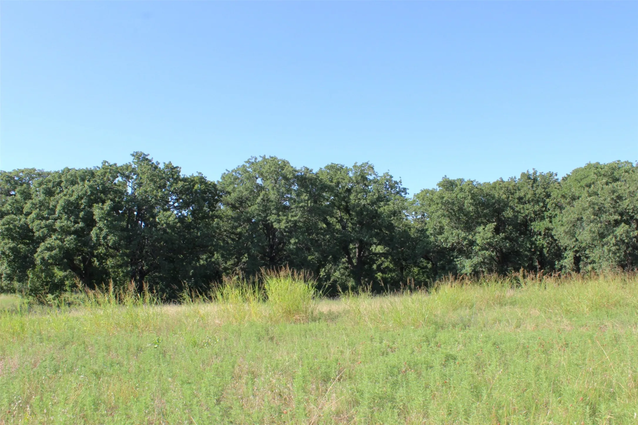 Back pasture.