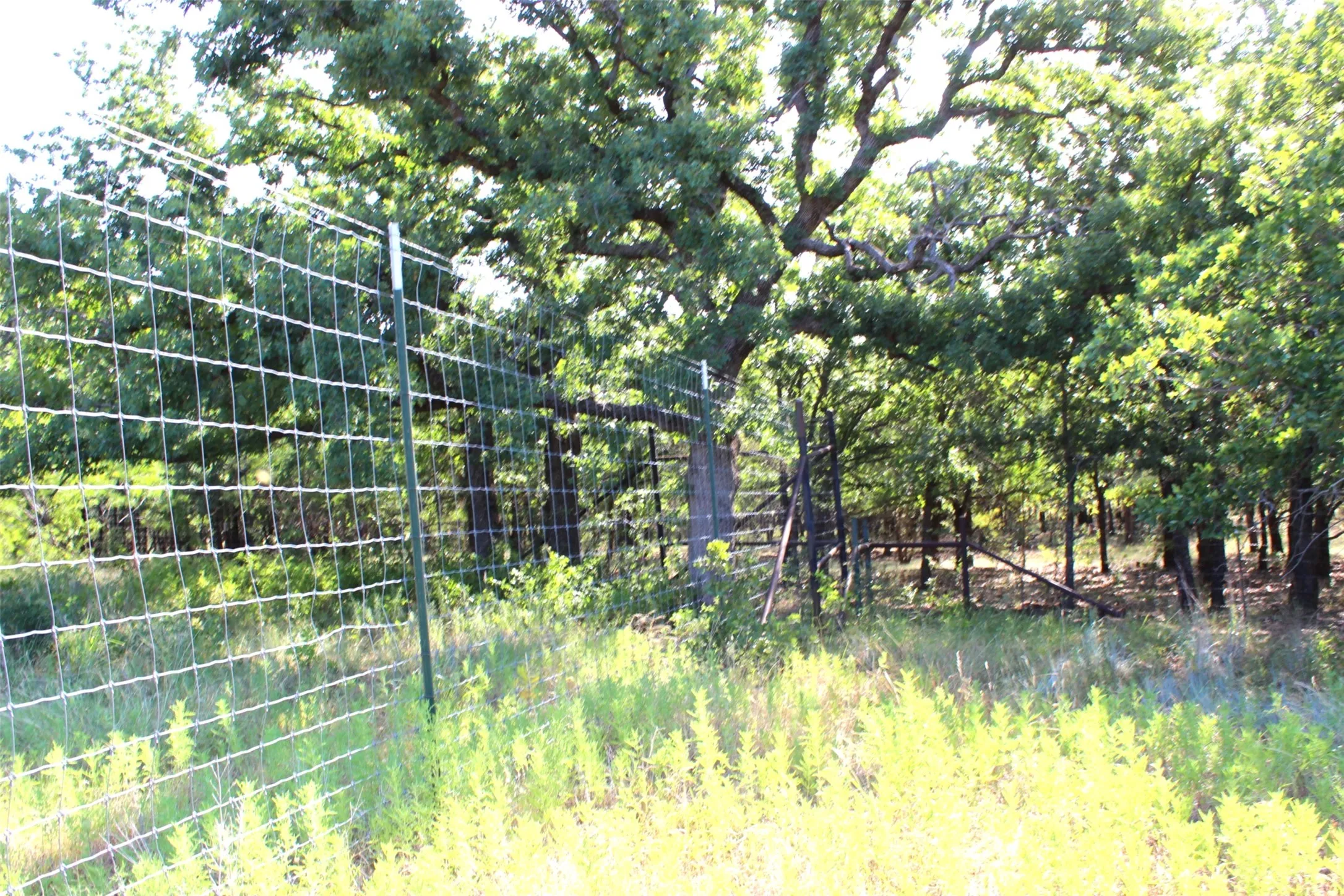 High game fence on North side of property.