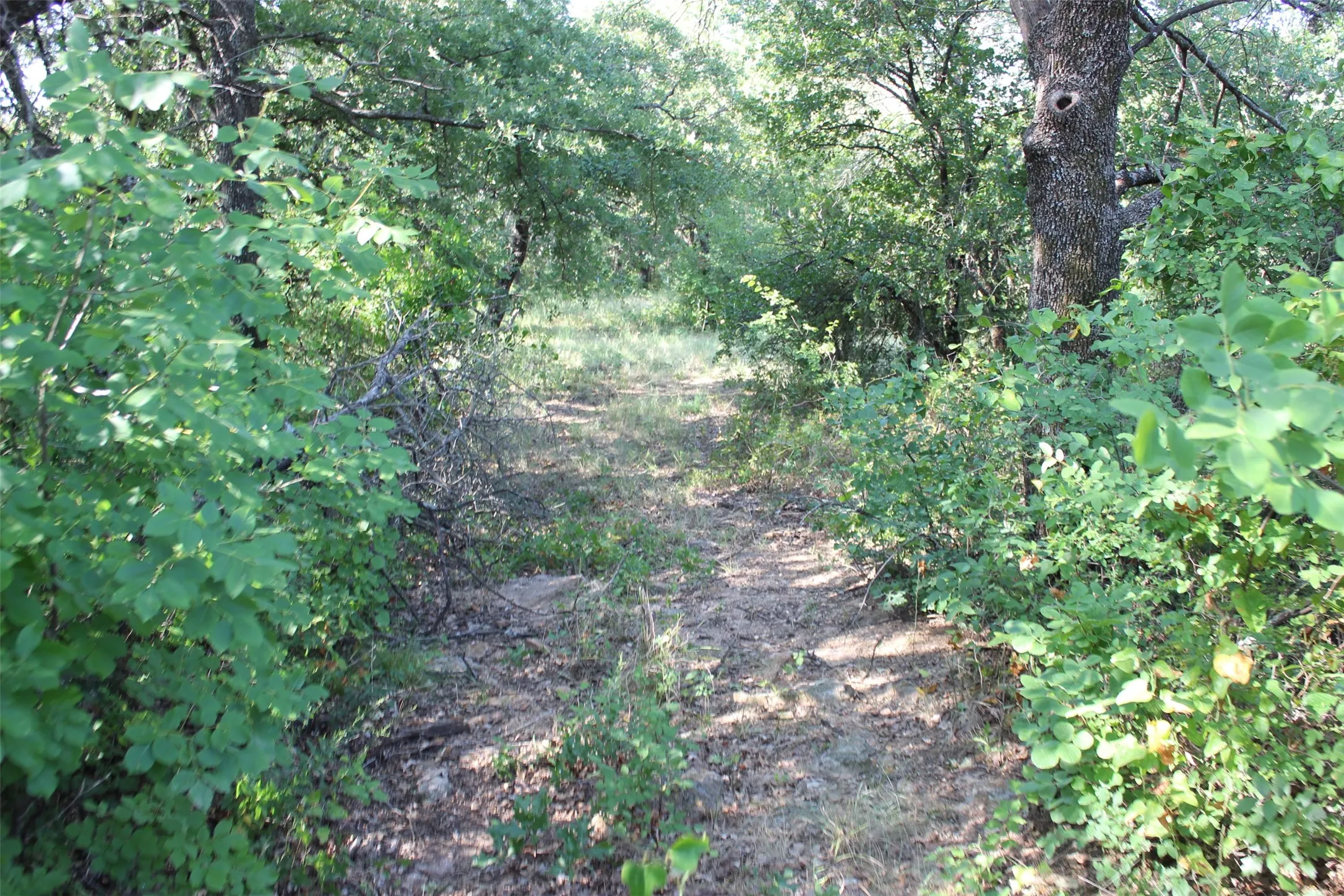 utv trail to front pasture