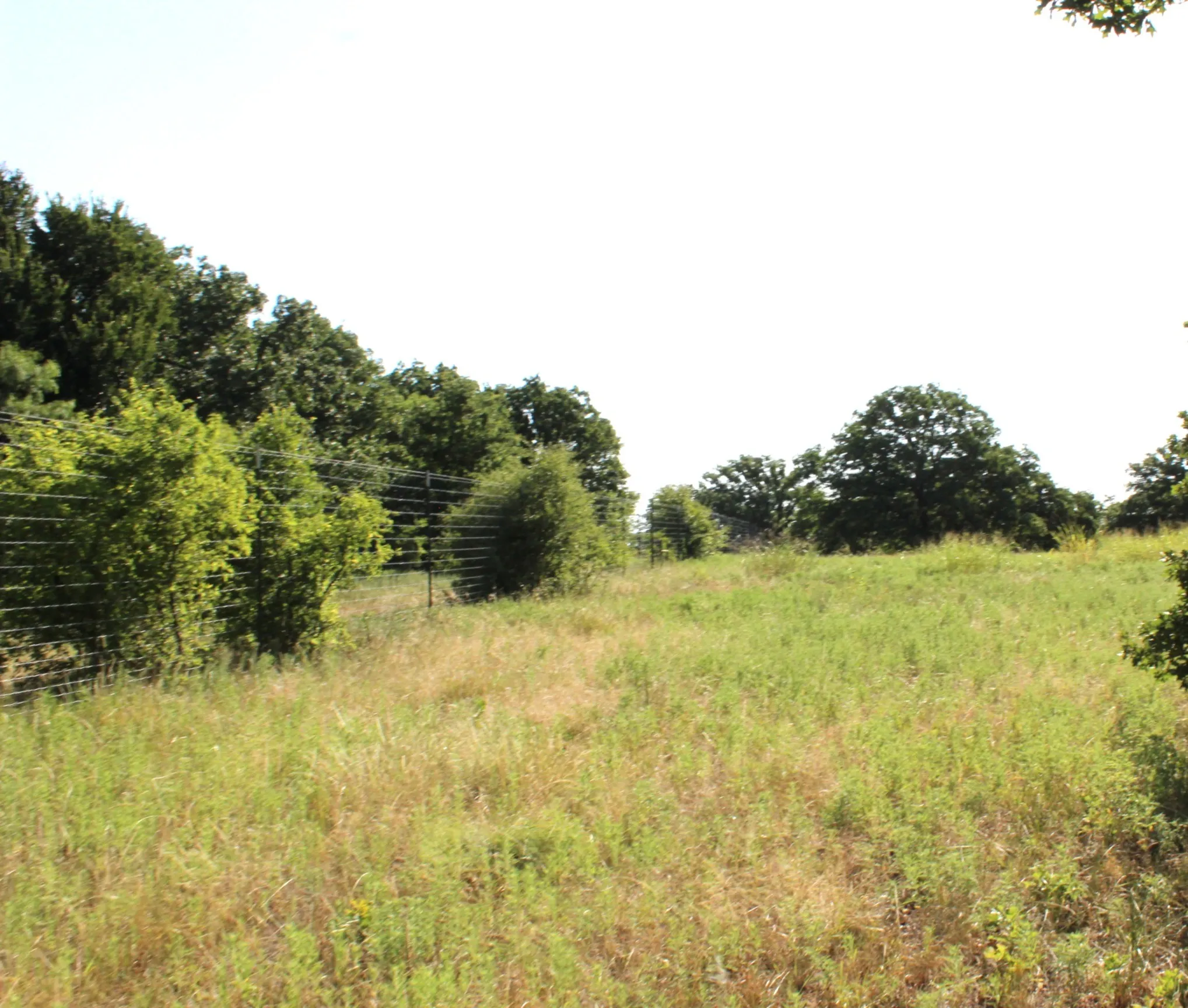 North pasture fence