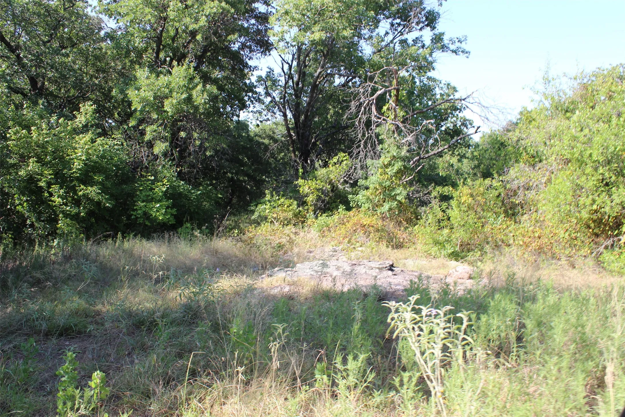 Rocky outcroppings and a few mesquite and oak trees.