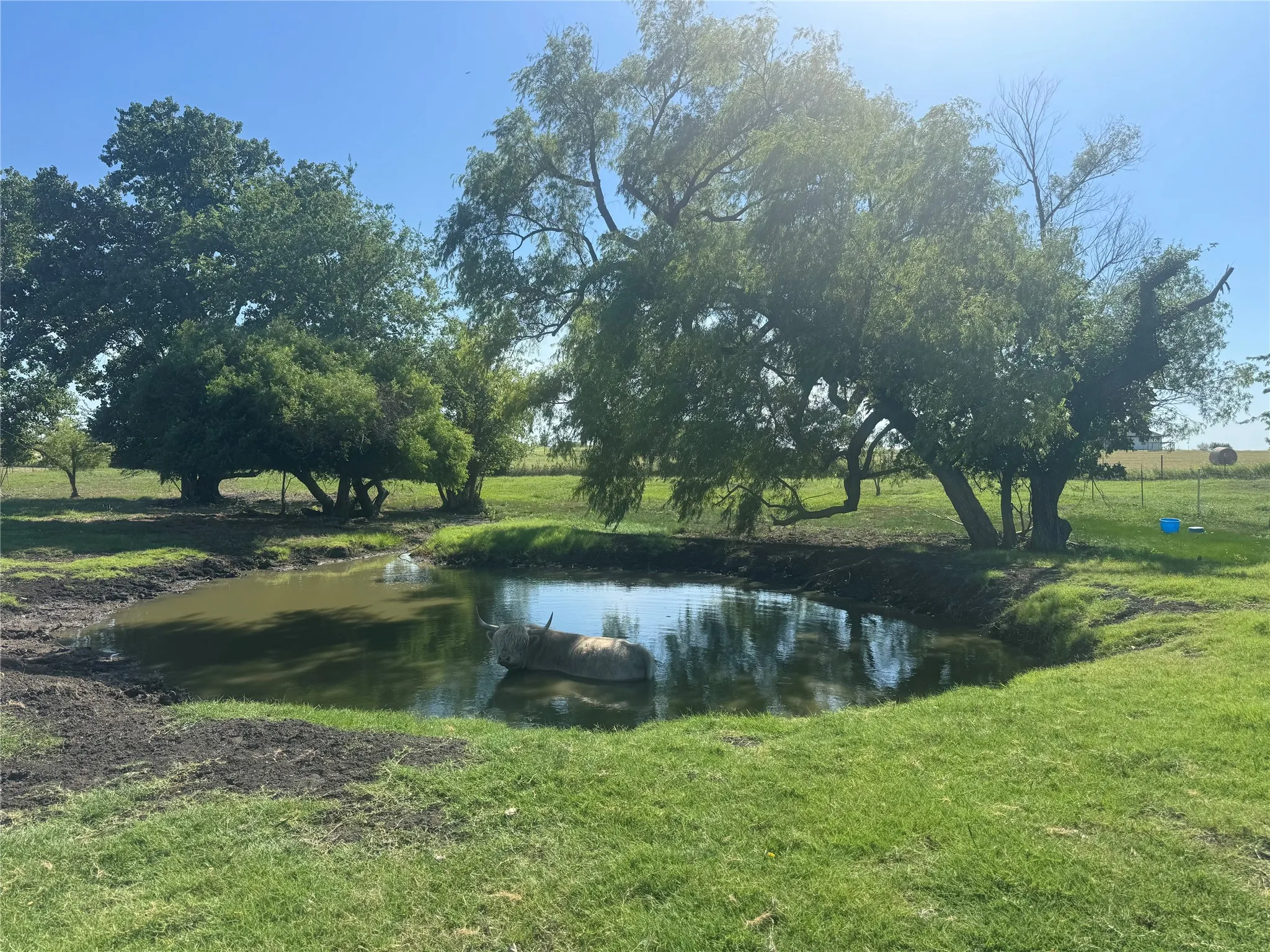 Single Family Residence For Sale in Ellis County , 3222 Greathouse Road, Waxahachie, Texas 75167, 4 Bedroom, 3 Bathroom, 2 Garage spaces, 2,176 Sqft, built in 2001, mls#21326399, Real Estate Agent in Waxahachie, Homes For Sale in Ellis county, Homes For Sale in Waxahachie, Realtor in Waxahachie Texas, Real Estate Brokerage Independent Realty Texas, Luminita Cordes Realtor