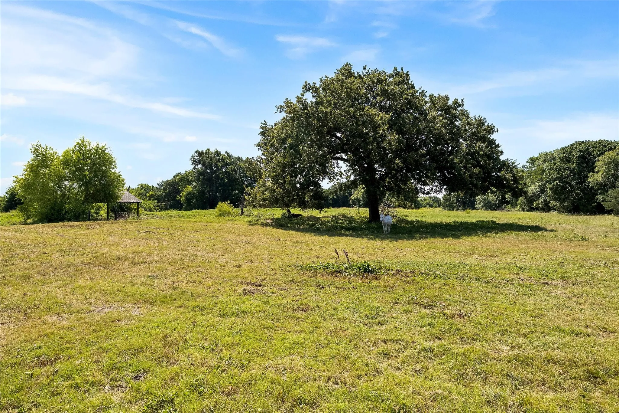 Single Family Residence For Sale in Kaufman County , 5848 County Road 283, Kaufman, Texas 75142, 3 Bedroom, 2 Bathroom, Garage spaces, 2,100 Sqft, built in 1989, mls#21325370, Real Estate Agent in Kaufman, Homes For Sale in Kaufman county, Homes For Sale in Kaufman, Realtor in Kaufman Texas, Real Estate Brokerage Independent Realty Texas, Luminita Cordes Realtor