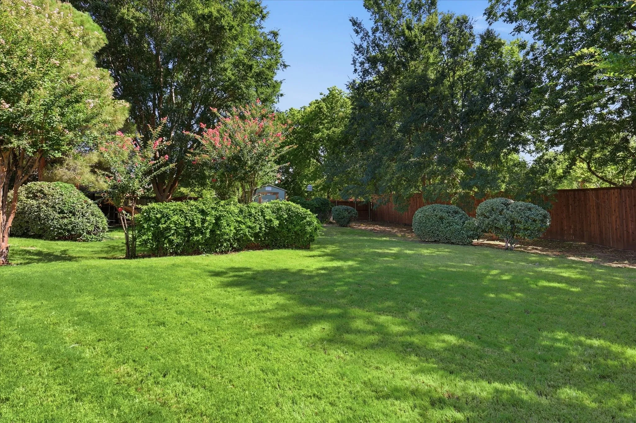 Expansive backyard featuring a lush green lawn, mature trees, flowering shrubs, and a privacy fence