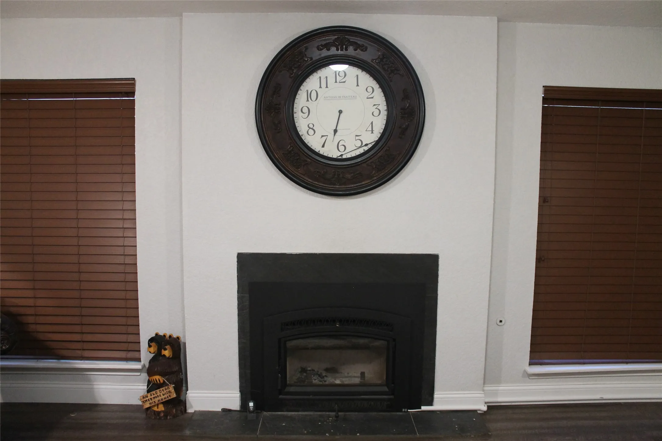 wood burning stove insert