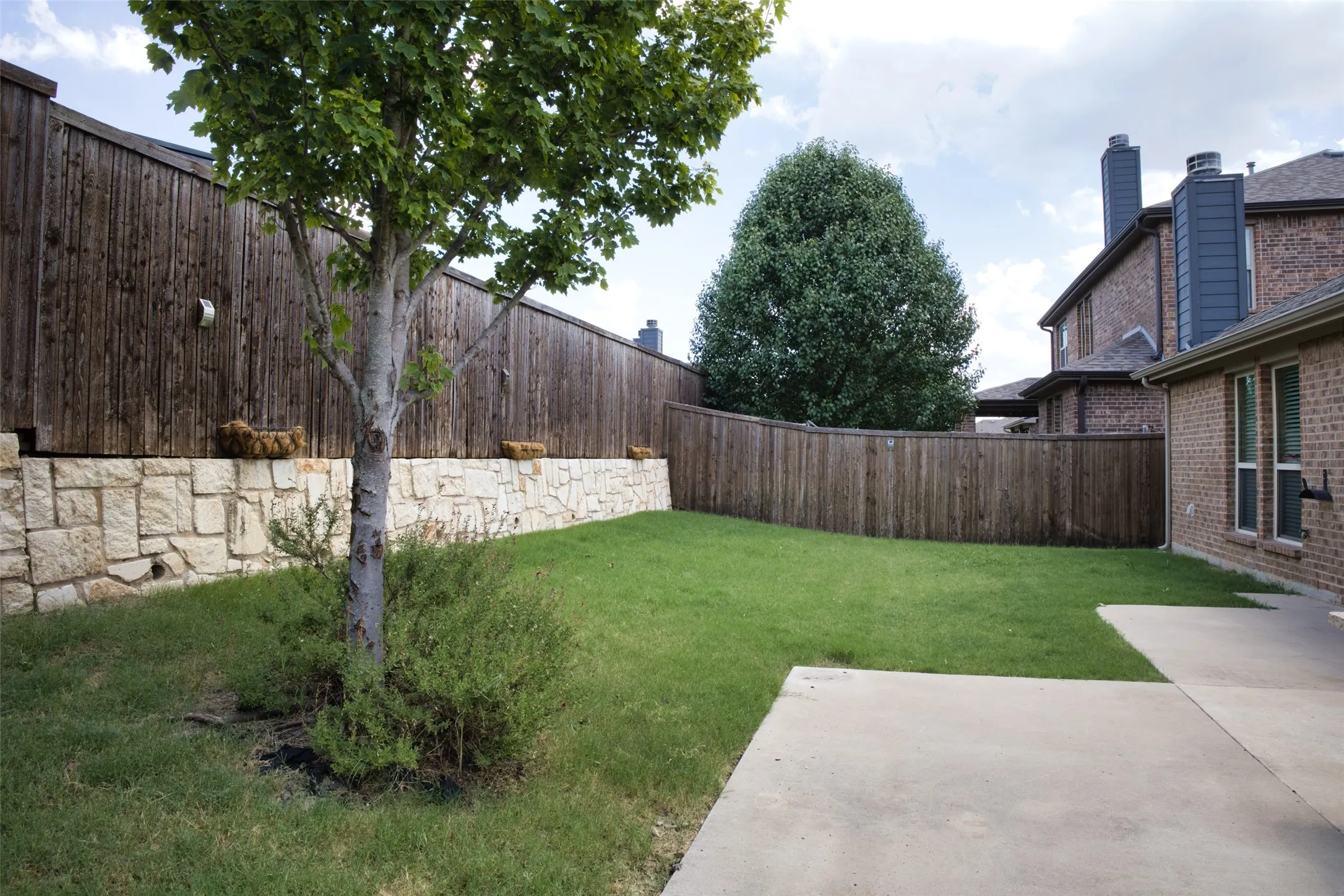 Back Yard