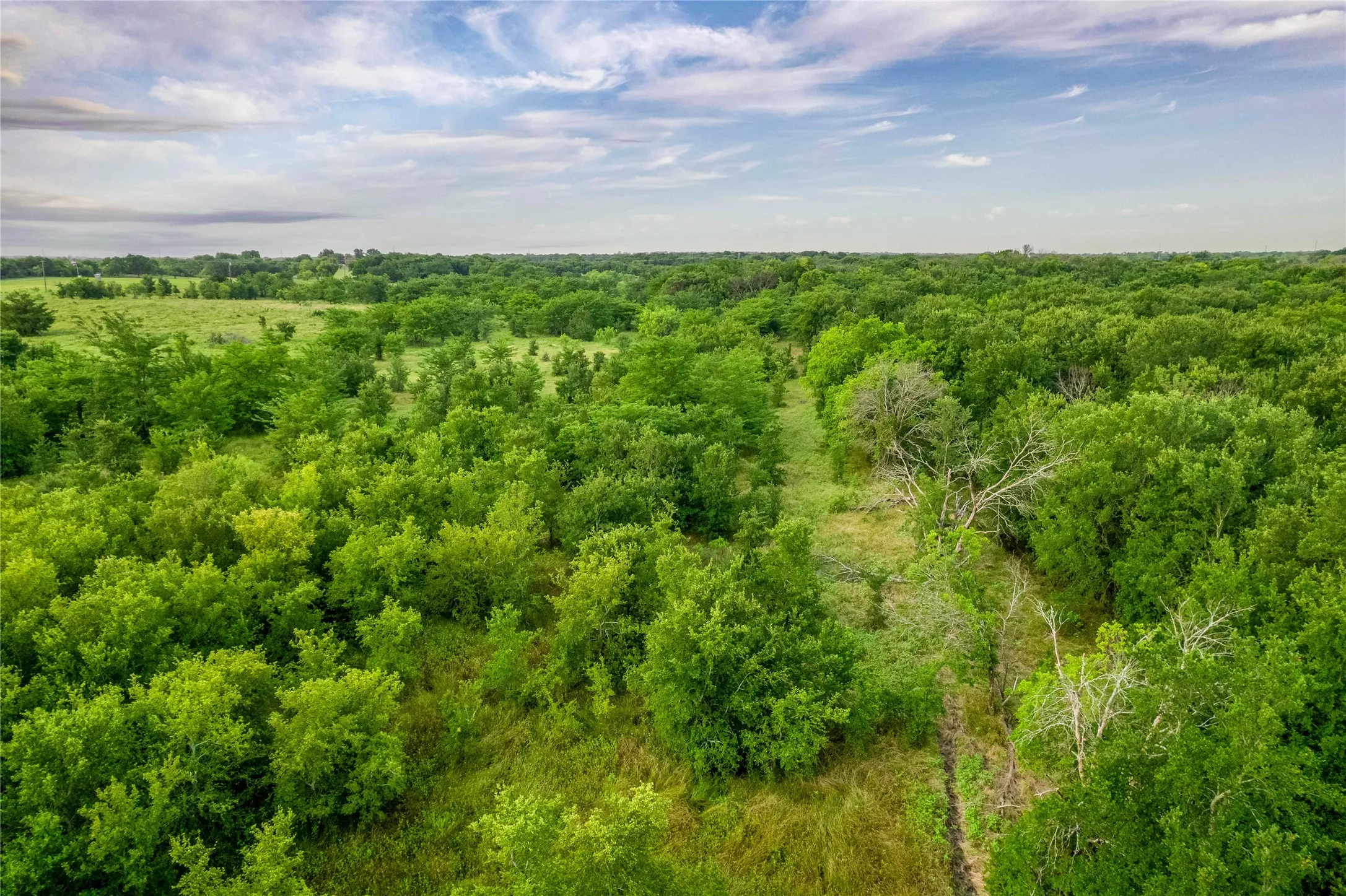 Expansive acreage featuring mature trees and verdant foliage