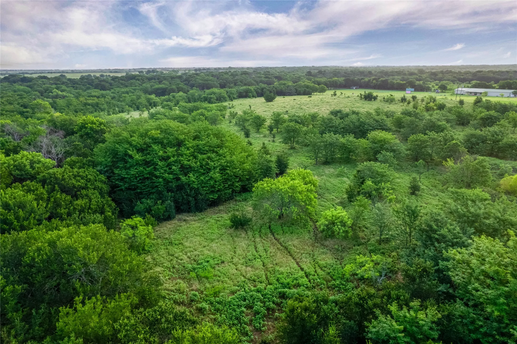 Expansive natural landscape featuring a mixture of wooded areas and open grassy spaces
