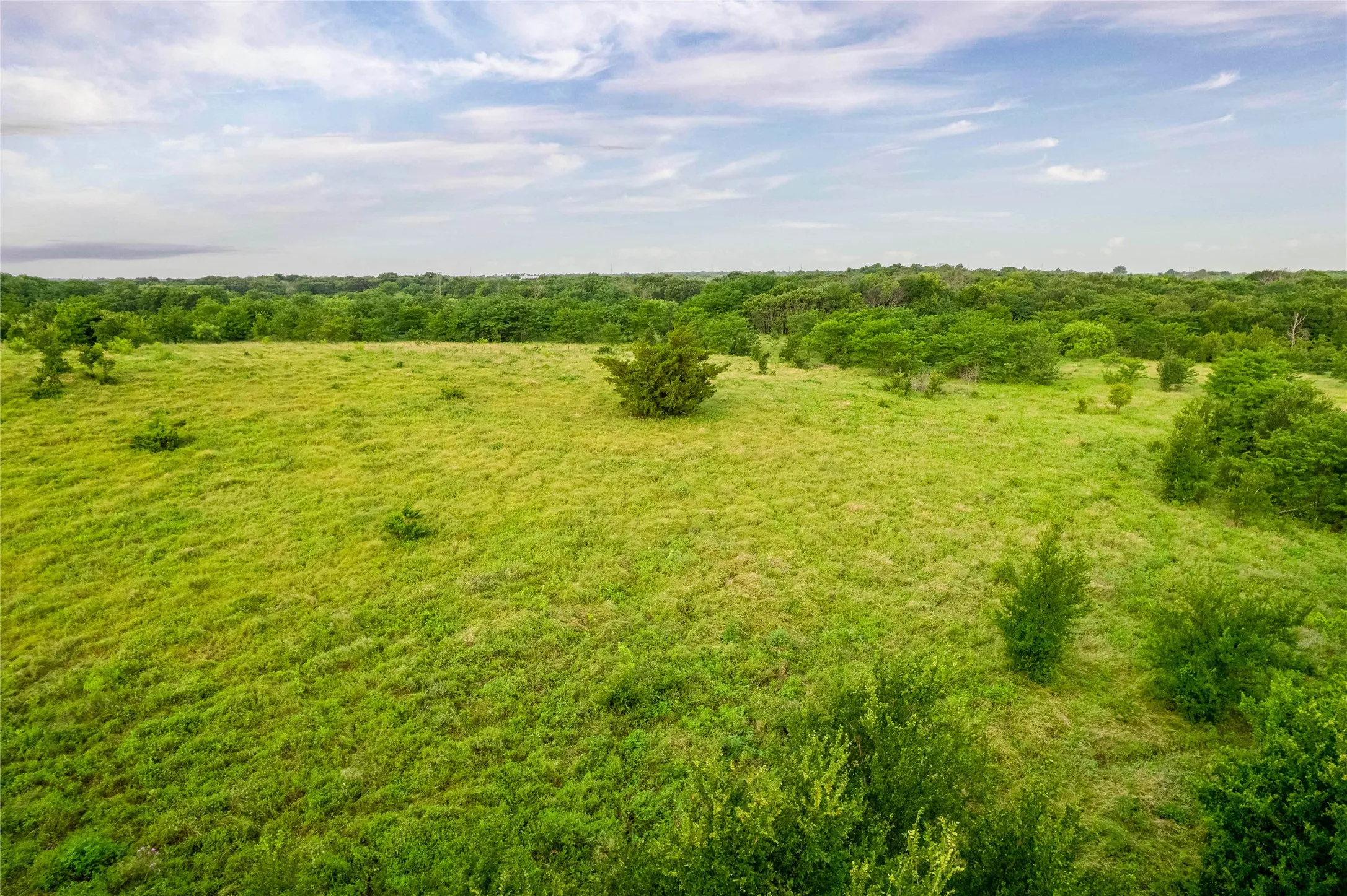 Expansive open field featuring natural grasses and scattered trees