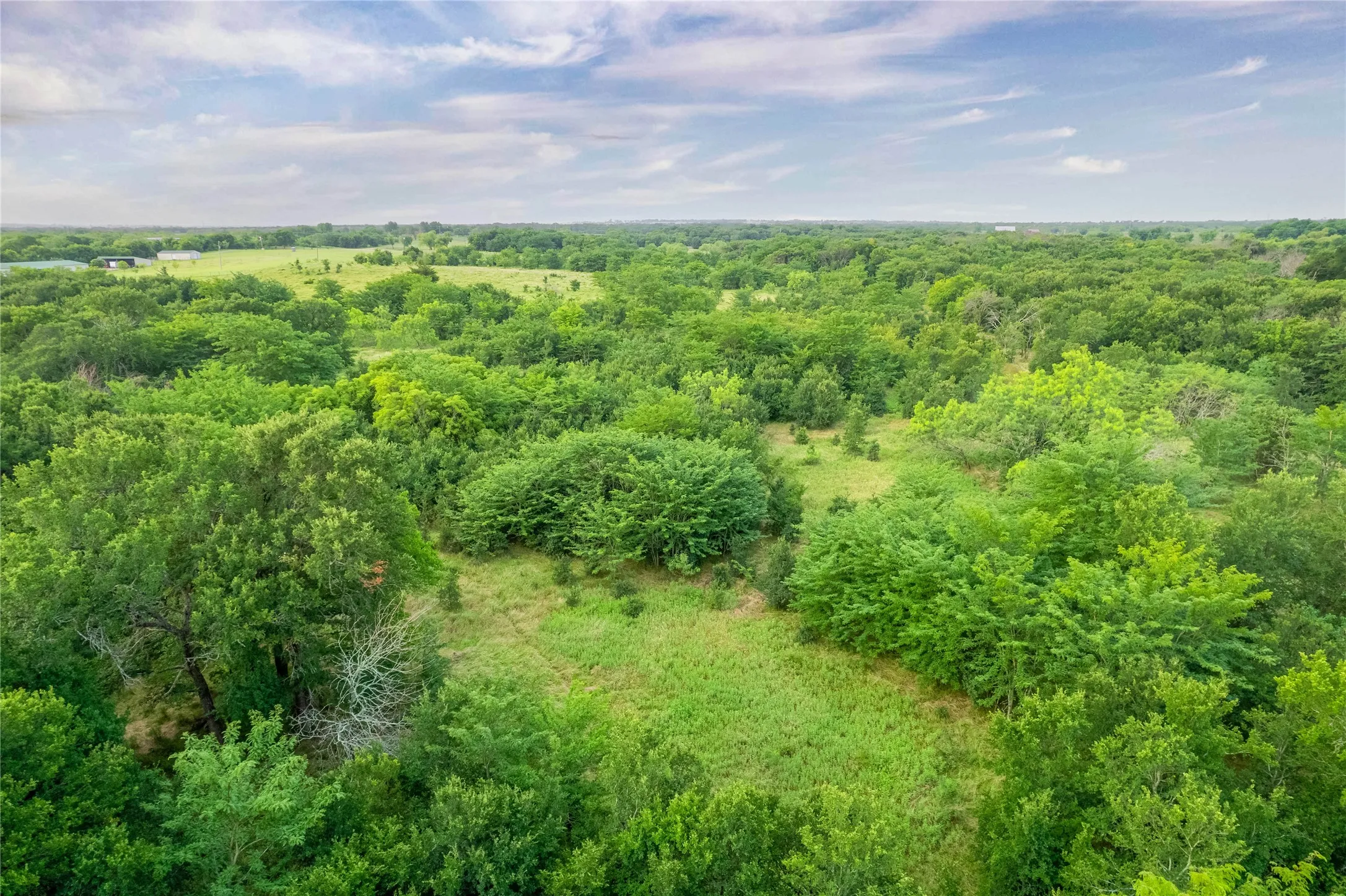 Expansive natural landscape featuring dense tree coverage and open grassy areas