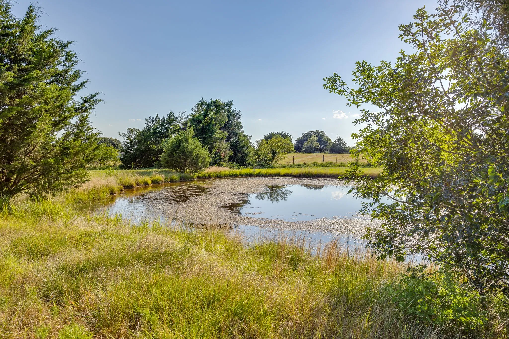 Farm For Sale in Cooke County , 1778 County Road 217, Collinsville, Texas 76233, 3 Bedrooms, 2 Bathrooms, Garage spaces, 1,672 Sqft, built in 2025, Price $1,195,000, mls#21326319, Real Estate Agent in Collinsville, Homes For Sale in Cooke county, Homes For Sale in Collinsville, Realtor in Collinsville Texas, Real Estate Brokerage Independent Realty Texas, Luminita Cordes Realtor