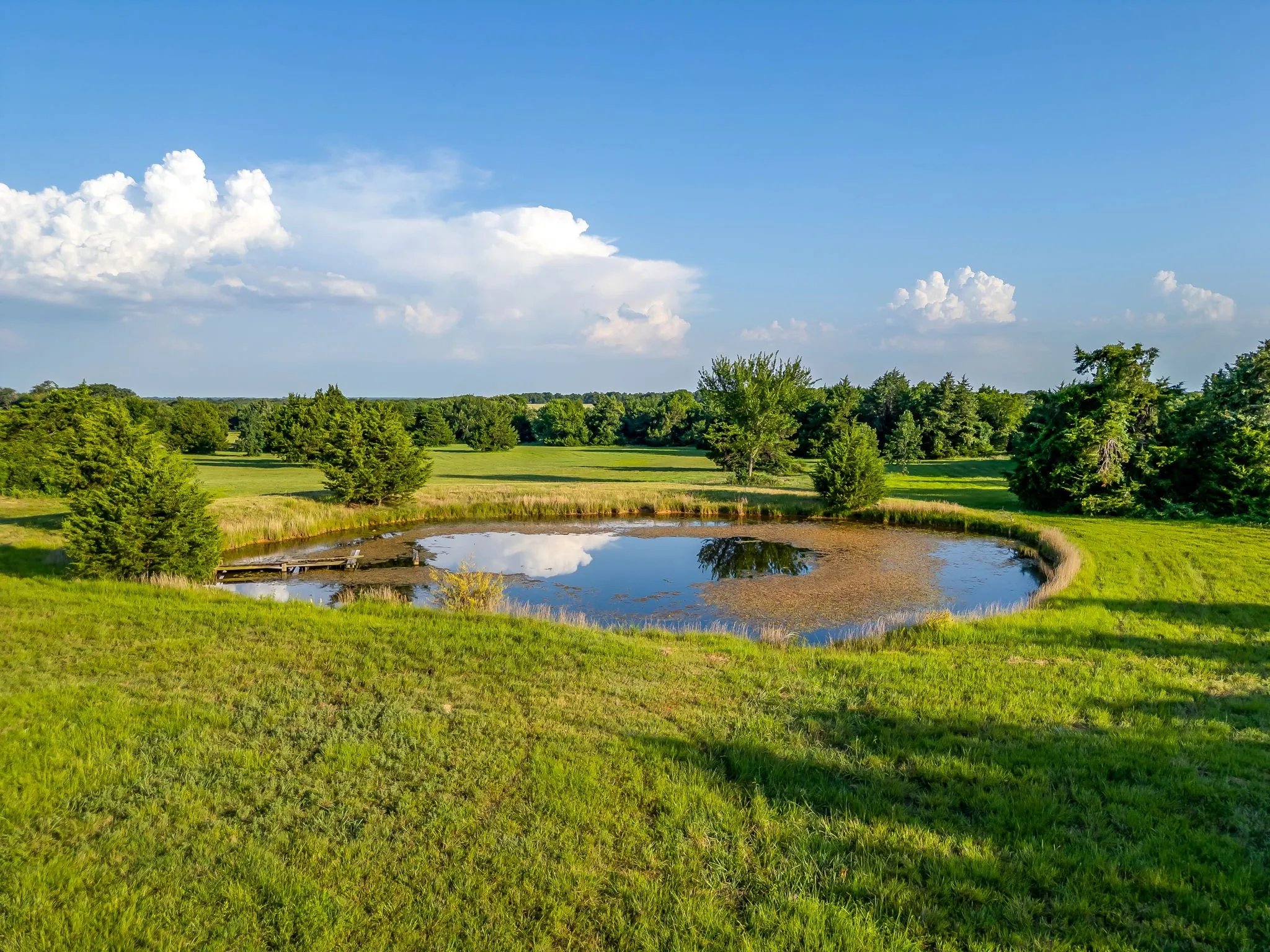 Farm For Sale in Cooke County , 1778 County Road 217, Collinsville, Texas 76233, 3 Bedrooms, 2 Bathrooms, Garage spaces, 1,672 Sqft, built in 2025, Price $1,195,000, mls#21326319, Real Estate Agent in Collinsville, Homes For Sale in Cooke county, Homes For Sale in Collinsville, Realtor in Collinsville Texas, Real Estate Brokerage Independent Realty Texas, Luminita Cordes Realtor