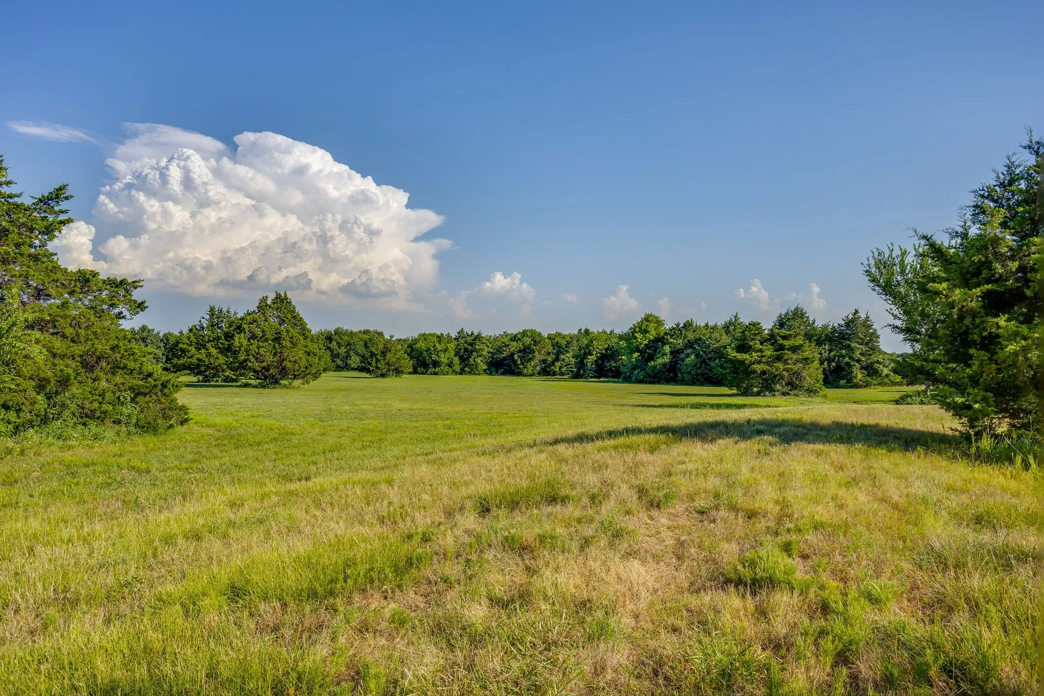 Farm For Sale in Cooke County , 1778 County Road 217, Collinsville, Texas 76233, 3 Bedrooms, 2 Bathrooms, Garage spaces, 1,672 Sqft, built in 2025, Price $1,195,000, mls#21326319, Real Estate Agent in Collinsville, Homes For Sale in Cooke county, Homes For Sale in Collinsville, Realtor in Collinsville Texas, Real Estate Brokerage Independent Realty Texas, Luminita Cordes Realtor