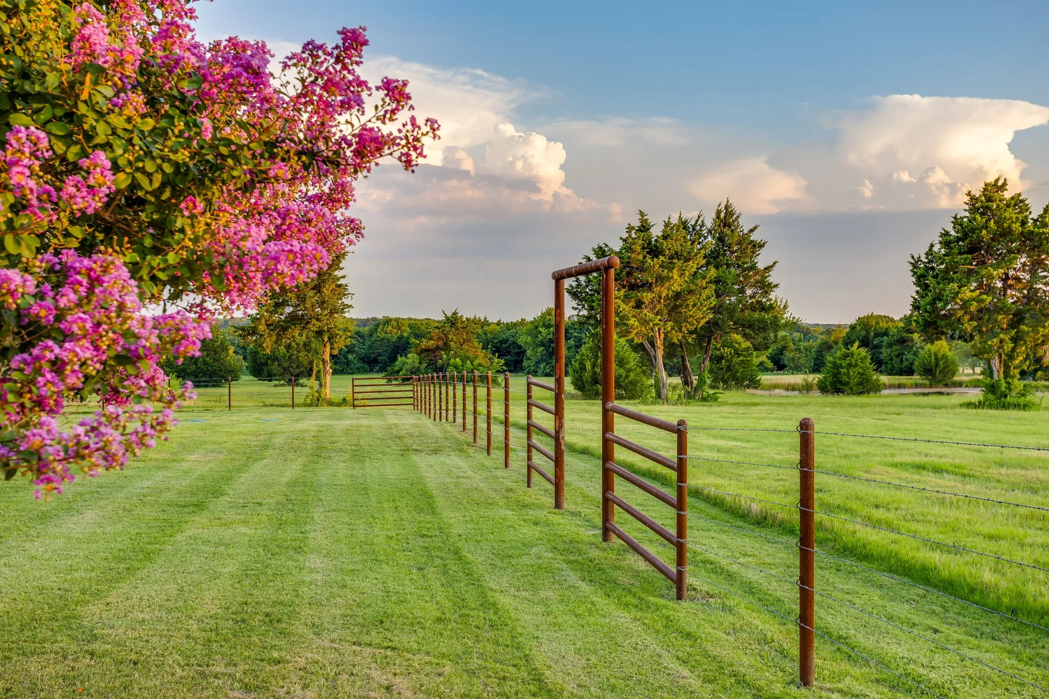 Farm For Sale in Cooke County , 1778 County Road 217, Collinsville, Texas 76233, 3 Bedrooms, 2 Bathrooms, Garage spaces, 1,672 Sqft, built in 2025, Price $1,195,000, mls#21326319, Real Estate Agent in Collinsville, Homes For Sale in Cooke county, Homes For Sale in Collinsville, Realtor in Collinsville Texas, Real Estate Brokerage Independent Realty Texas, Luminita Cordes Realtor