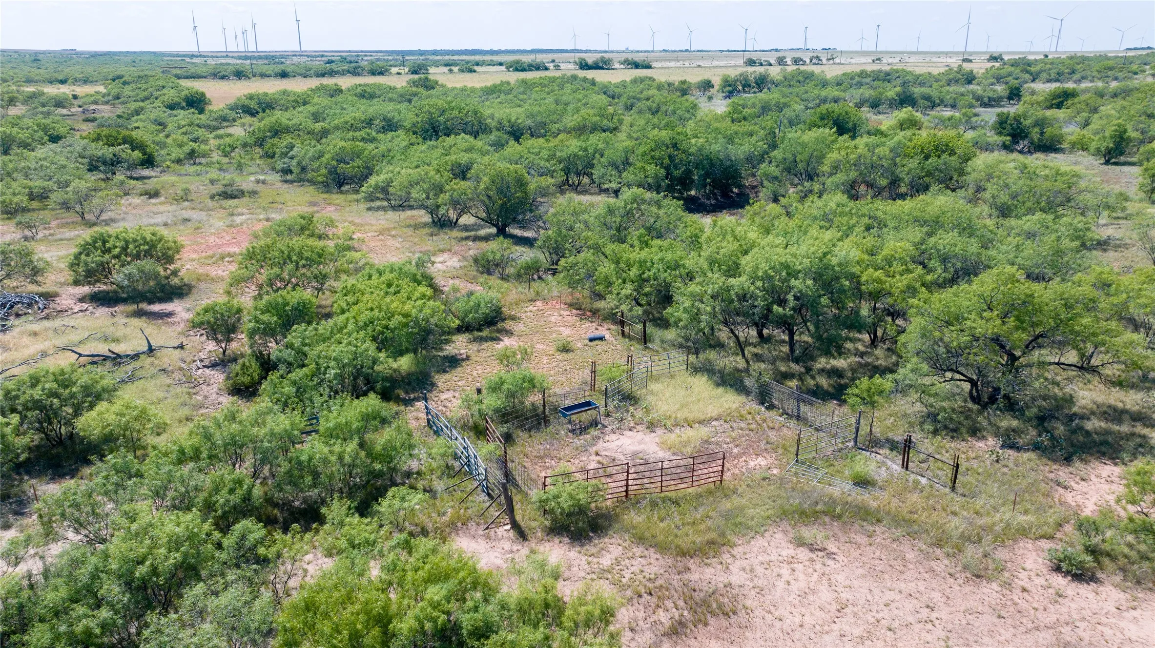 Unimproved Land For Sale in Haskell County , 104.3 Acres CR 247, Weinert, Texas 76388, 0, 0, Garage spaces, 0 Sqft, built in 0, mls#21327446, Real Estate Agent in Weinert, Homes For Sale in Haskell county, Homes For Sale in Weinert, Realtor in Weinert Texas, Real Estate Brokerage Independent Realty Texas, Luminita Cordes Realtor