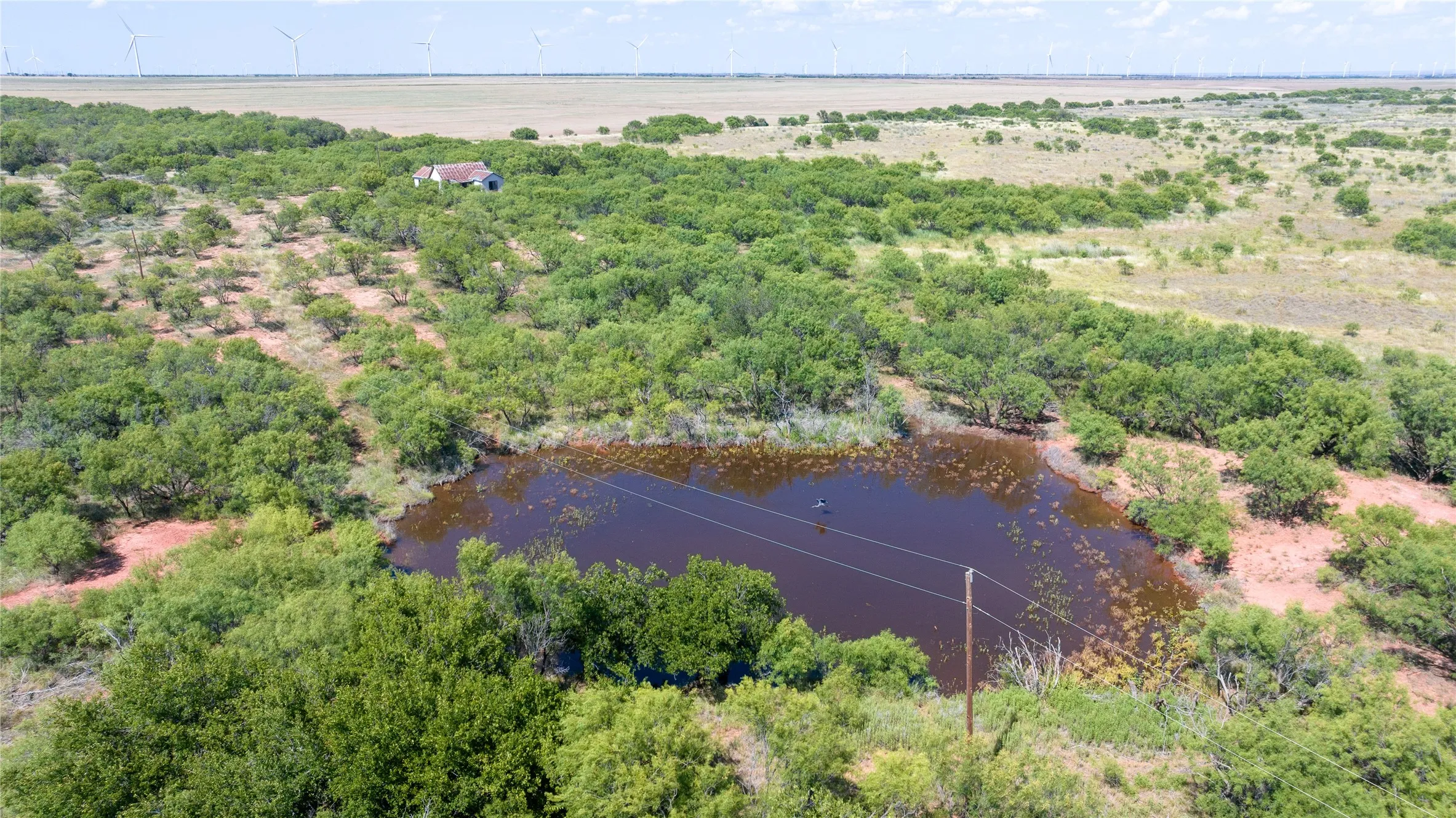 Unimproved Land For Sale in Haskell County , 104.3 Acres CR 247, Weinert, Texas 76388, 0, 0, Garage spaces, 0 Sqft, built in 0, mls#21327446, Real Estate Agent in Weinert, Homes For Sale in Haskell county, Homes For Sale in Weinert, Realtor in Weinert Texas, Real Estate Brokerage Independent Realty Texas, Luminita Cordes Realtor